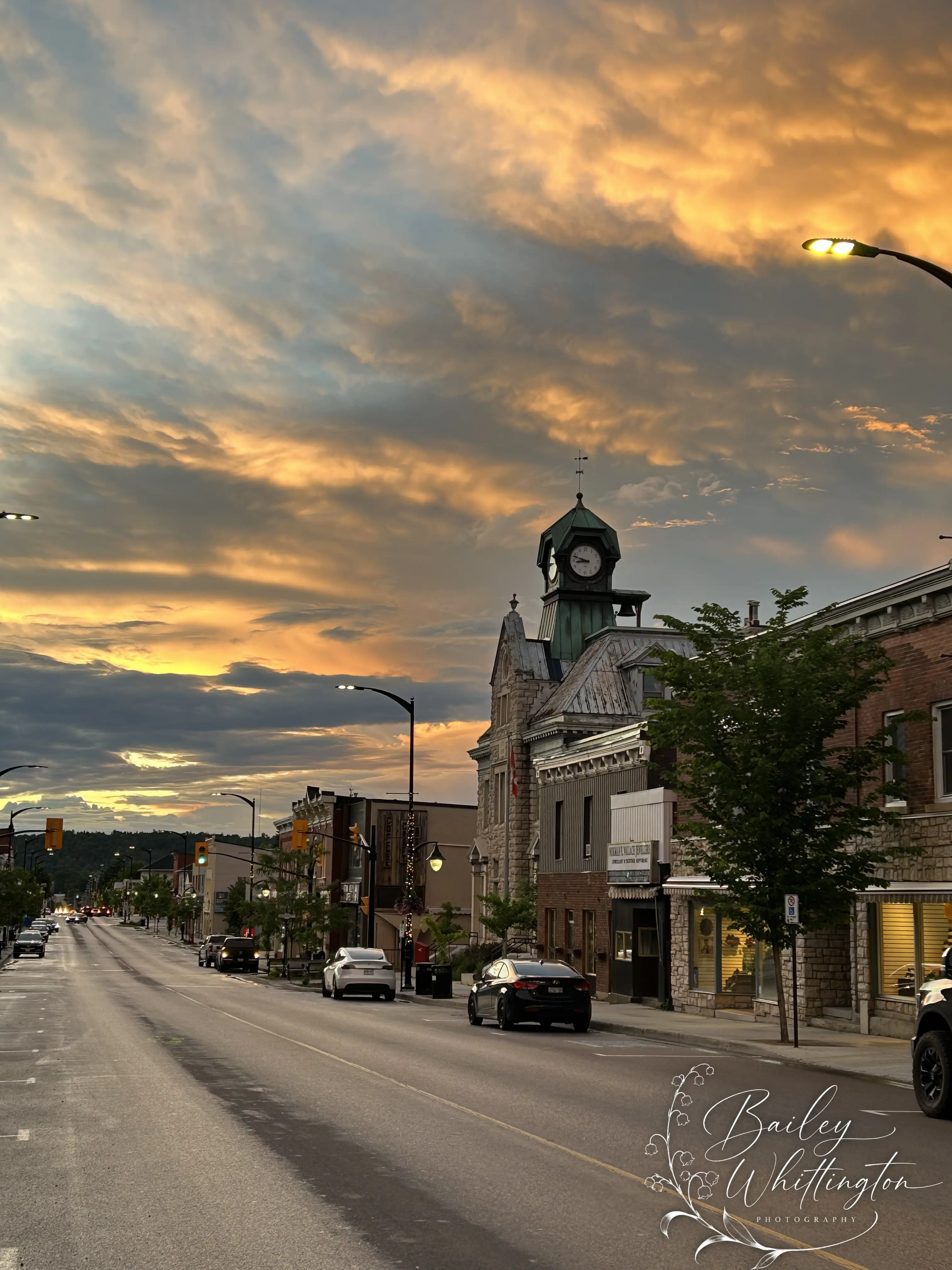 Portfolio image 12