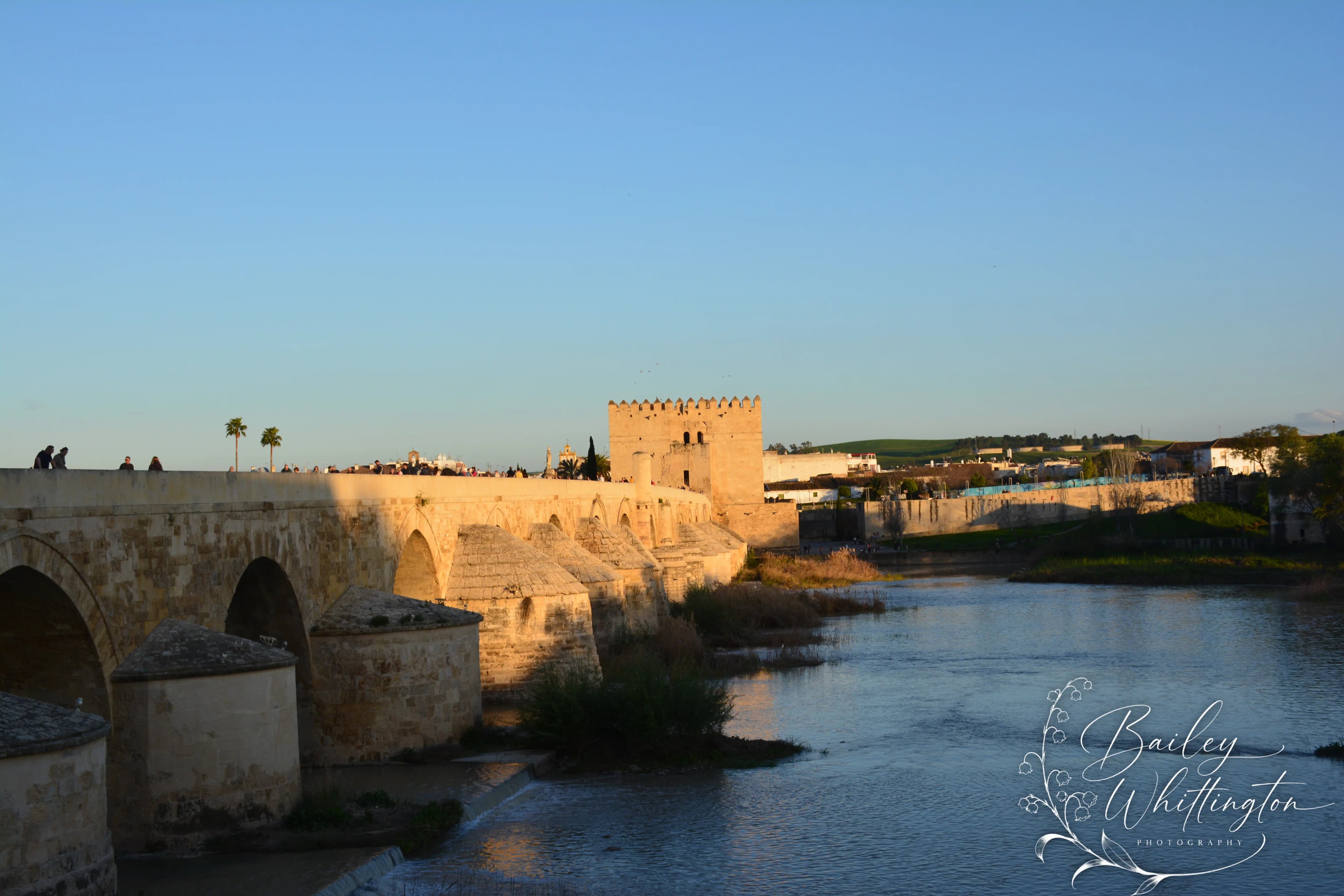 Portfolio image 28