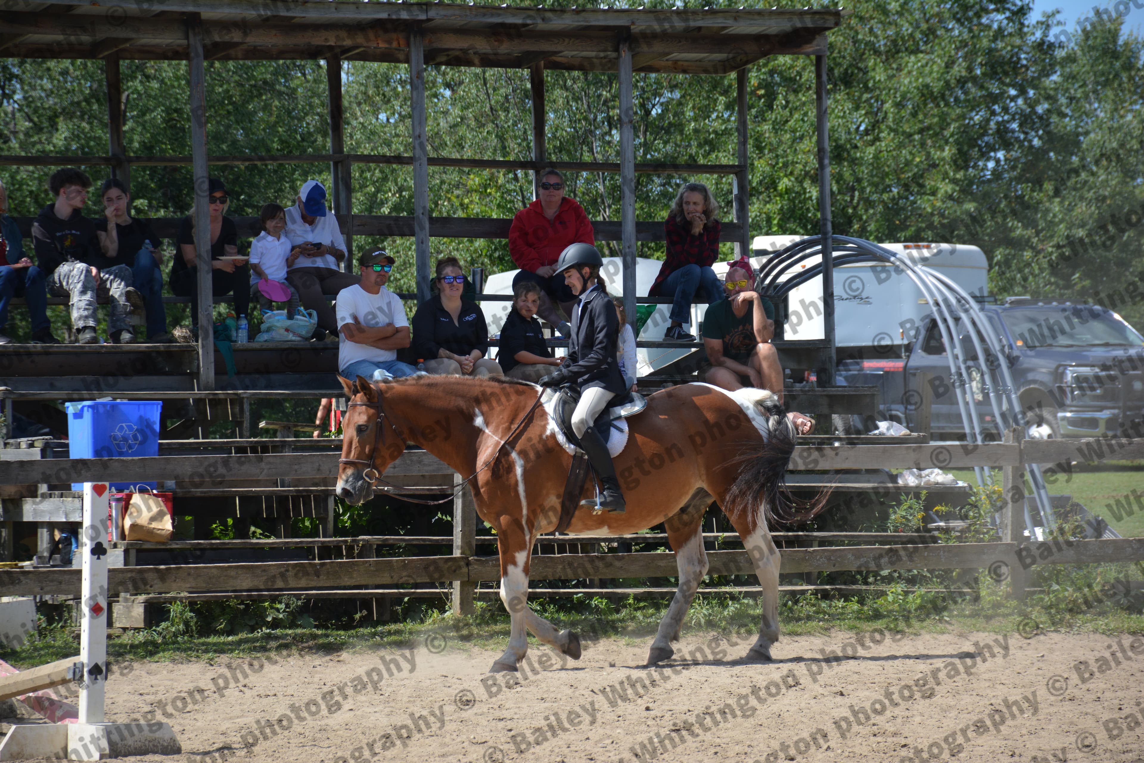 Pony Club Show