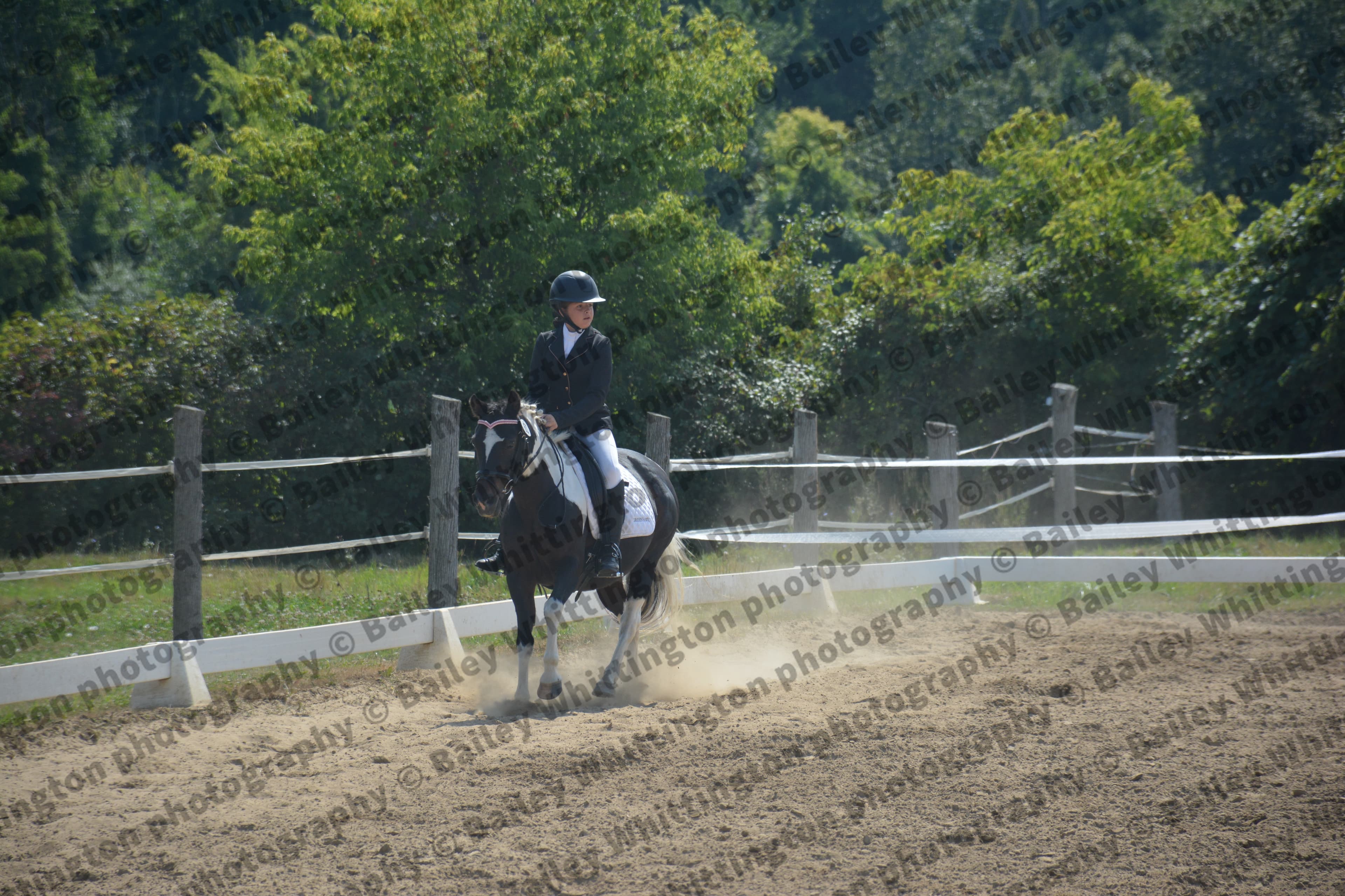 Quantum Dressage