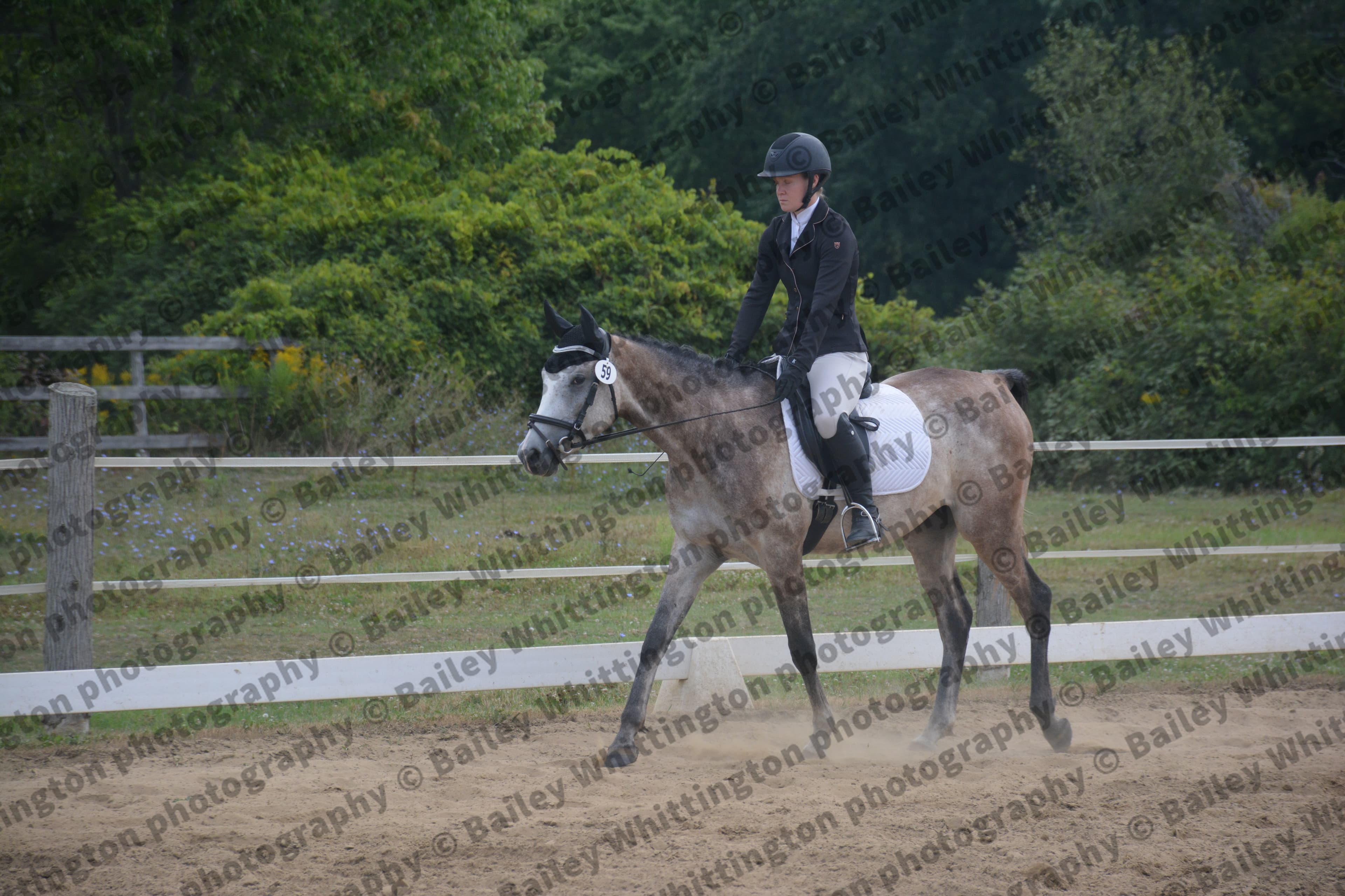 Quantum Dressage Image 2