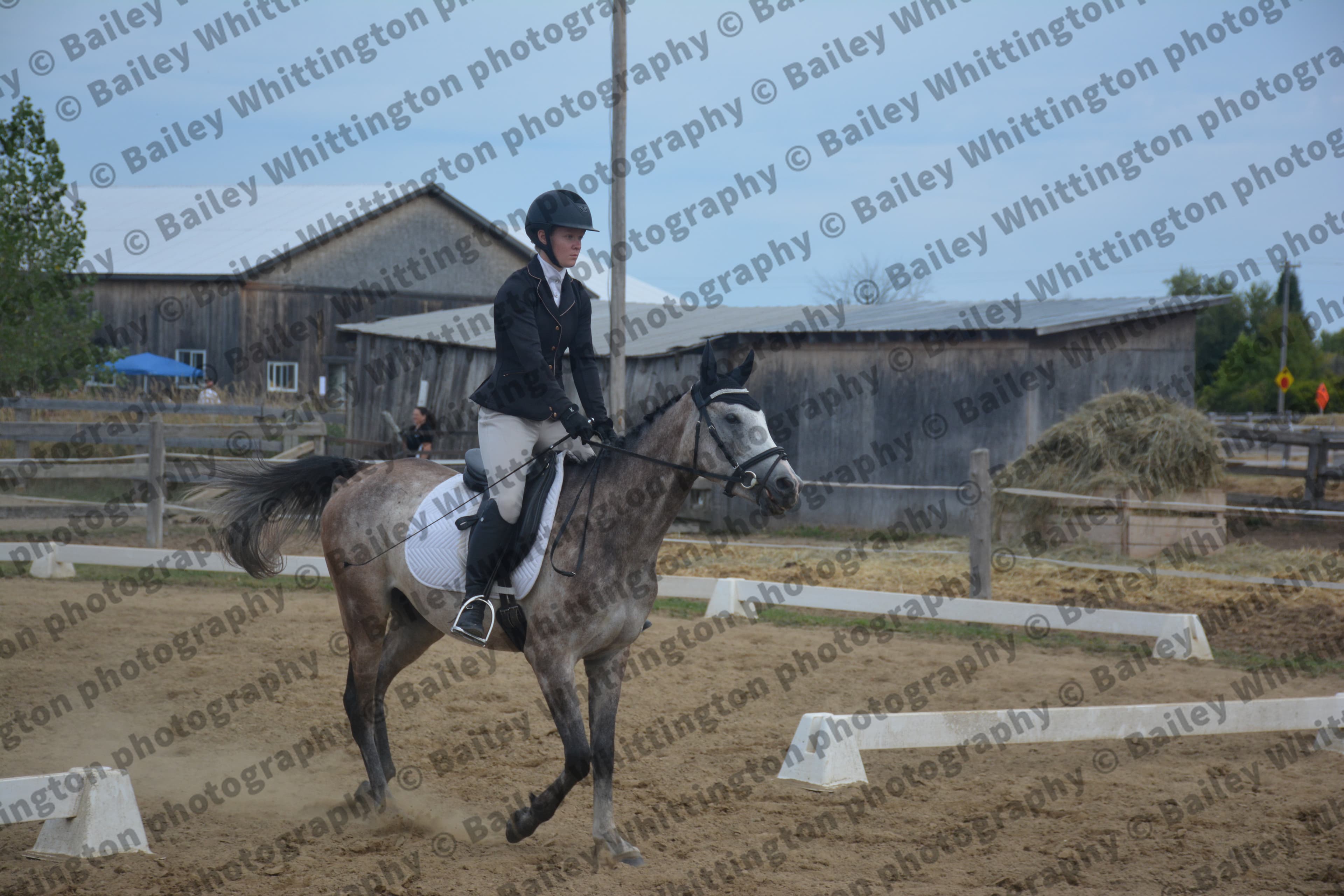 Quantum Dressage Image 3