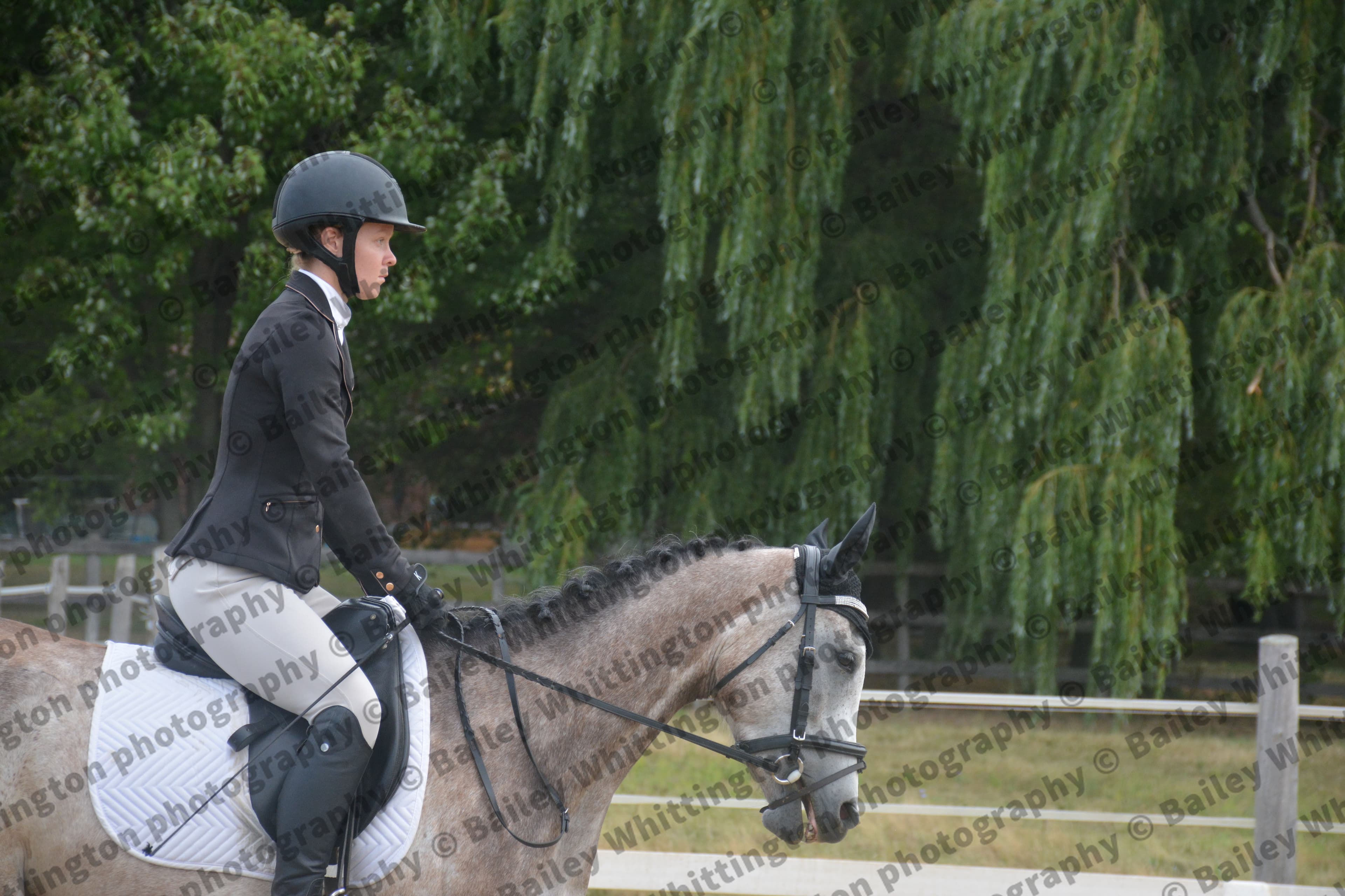 Quantum Dressage Image 4