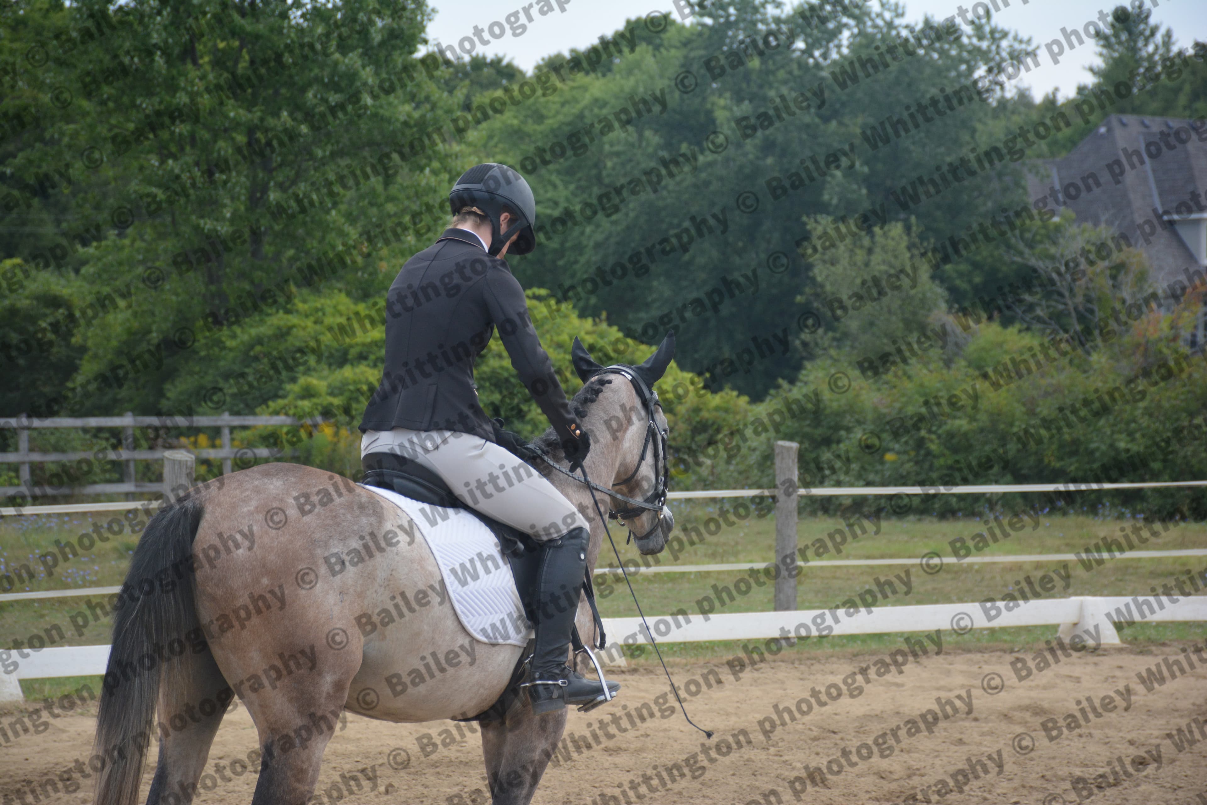 Quantum Dressage Image 5
