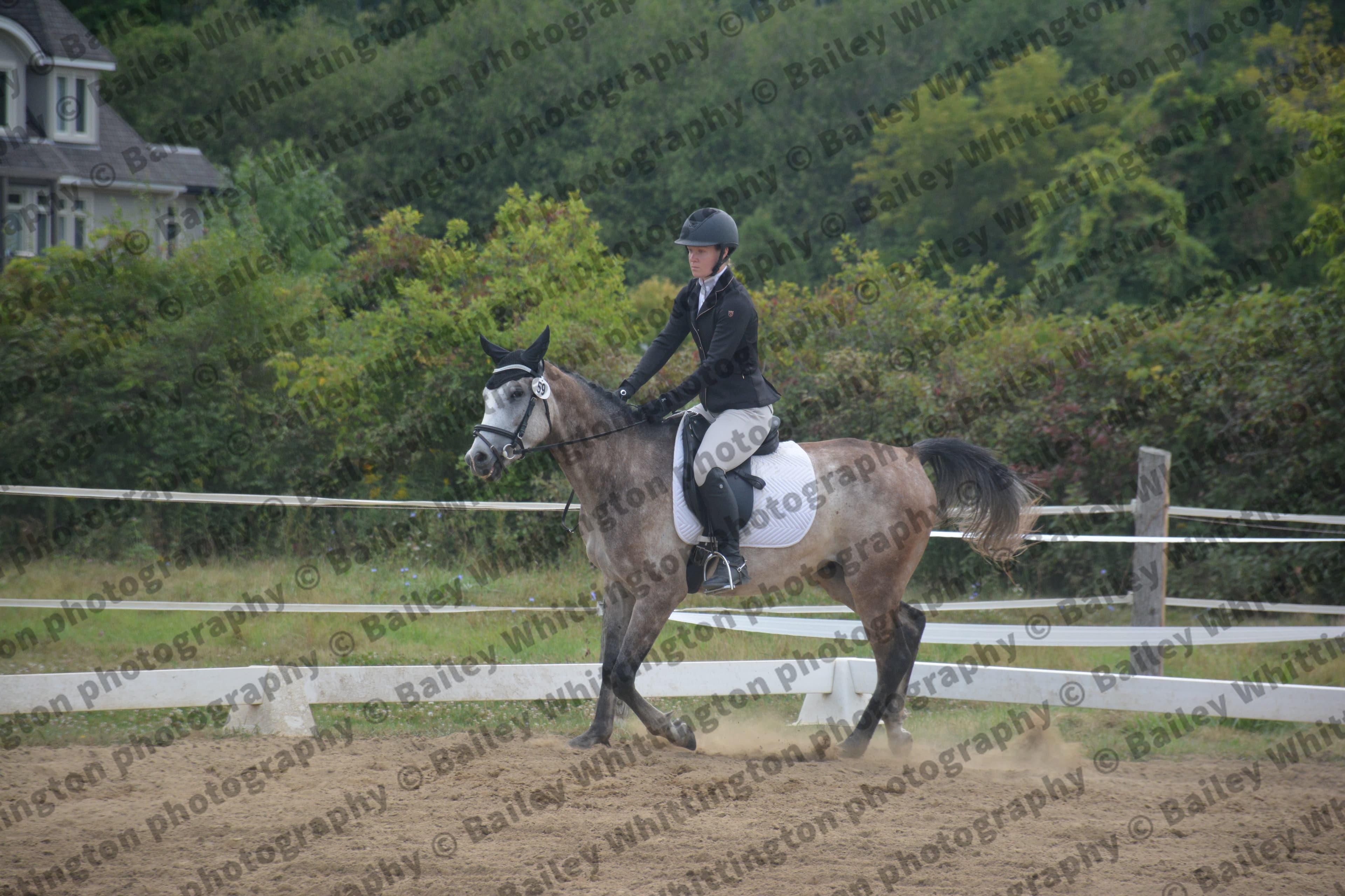 Quantum Dressage Image 6