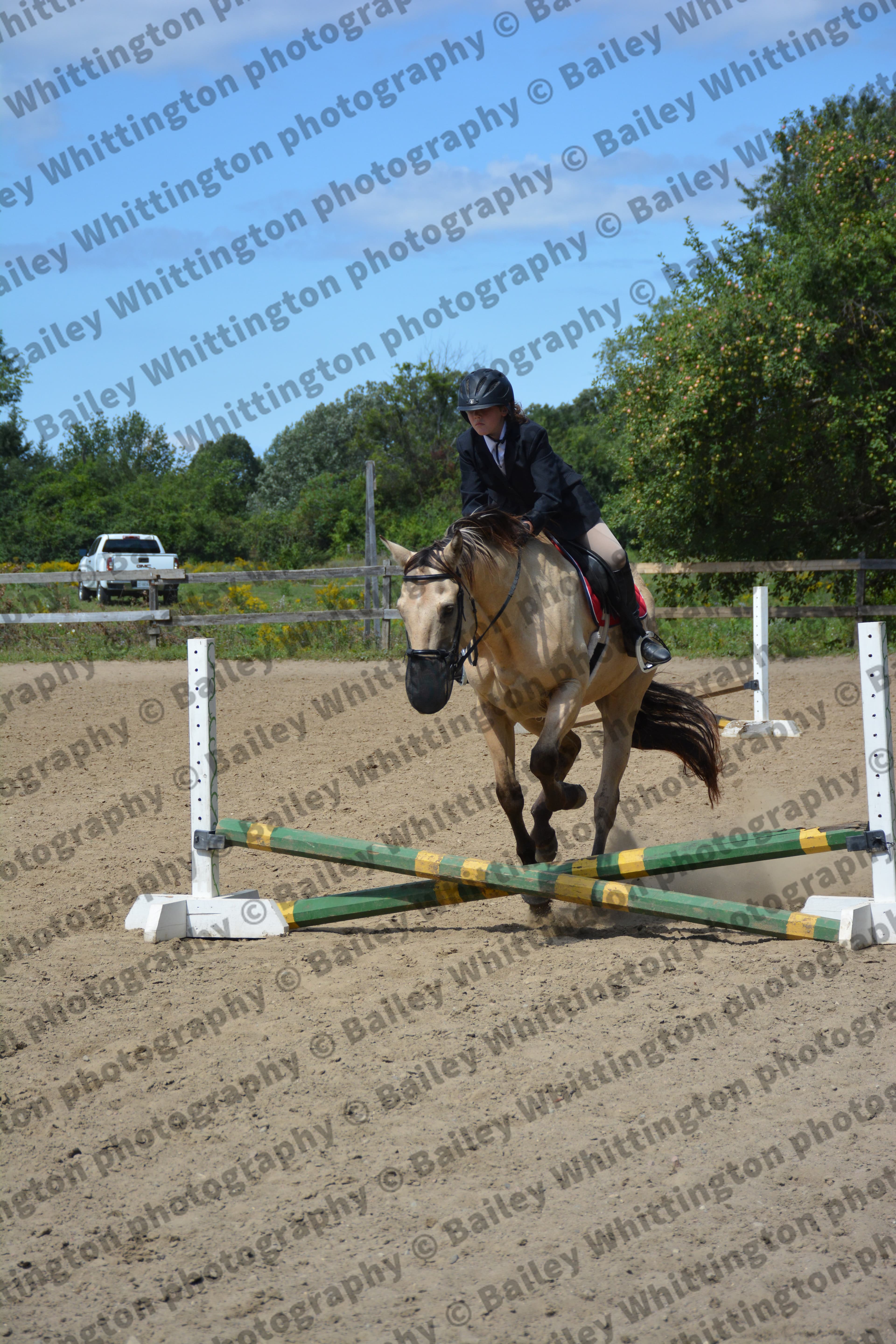 Pony Club Show Image 4
