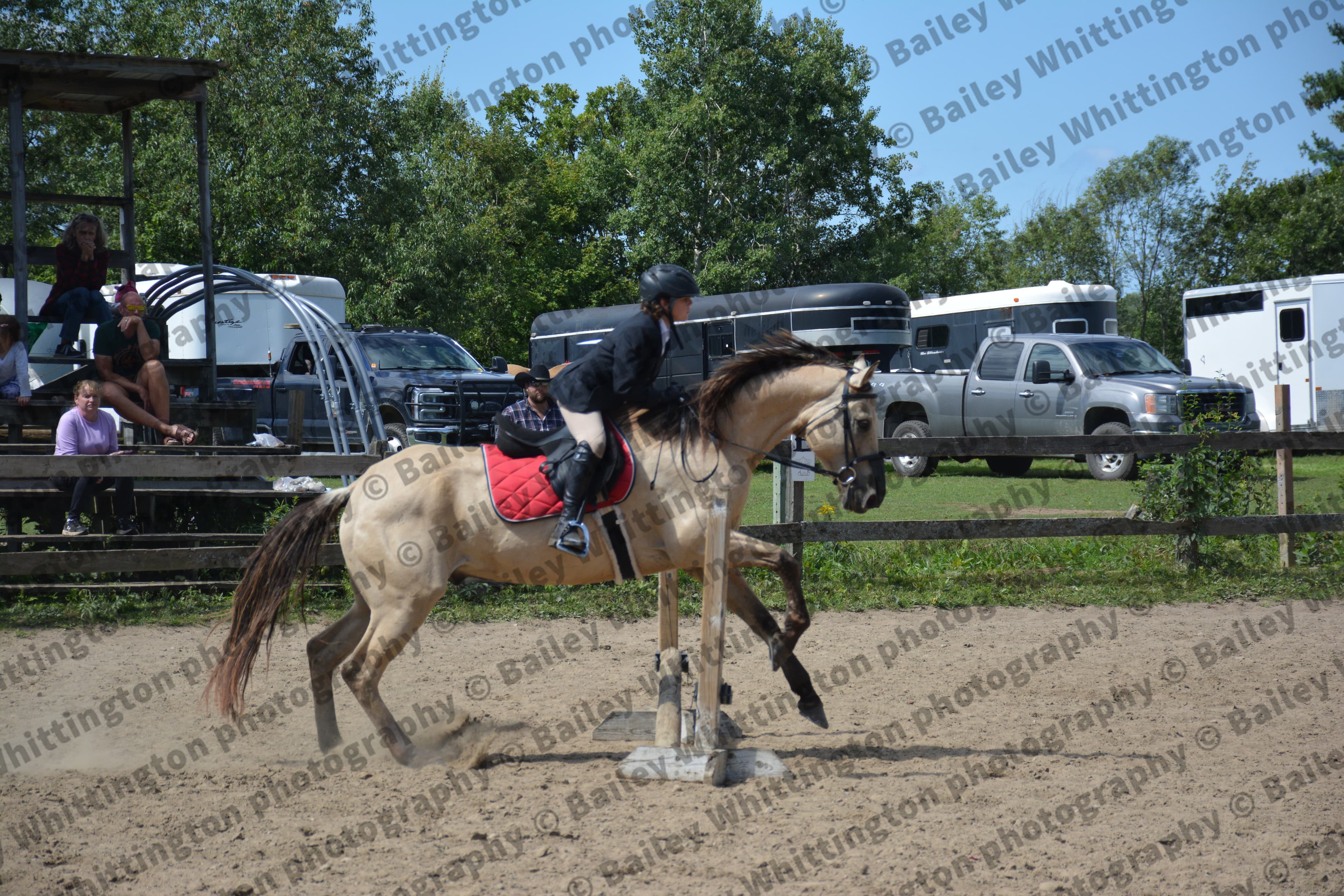 Pony Club Show Image 5