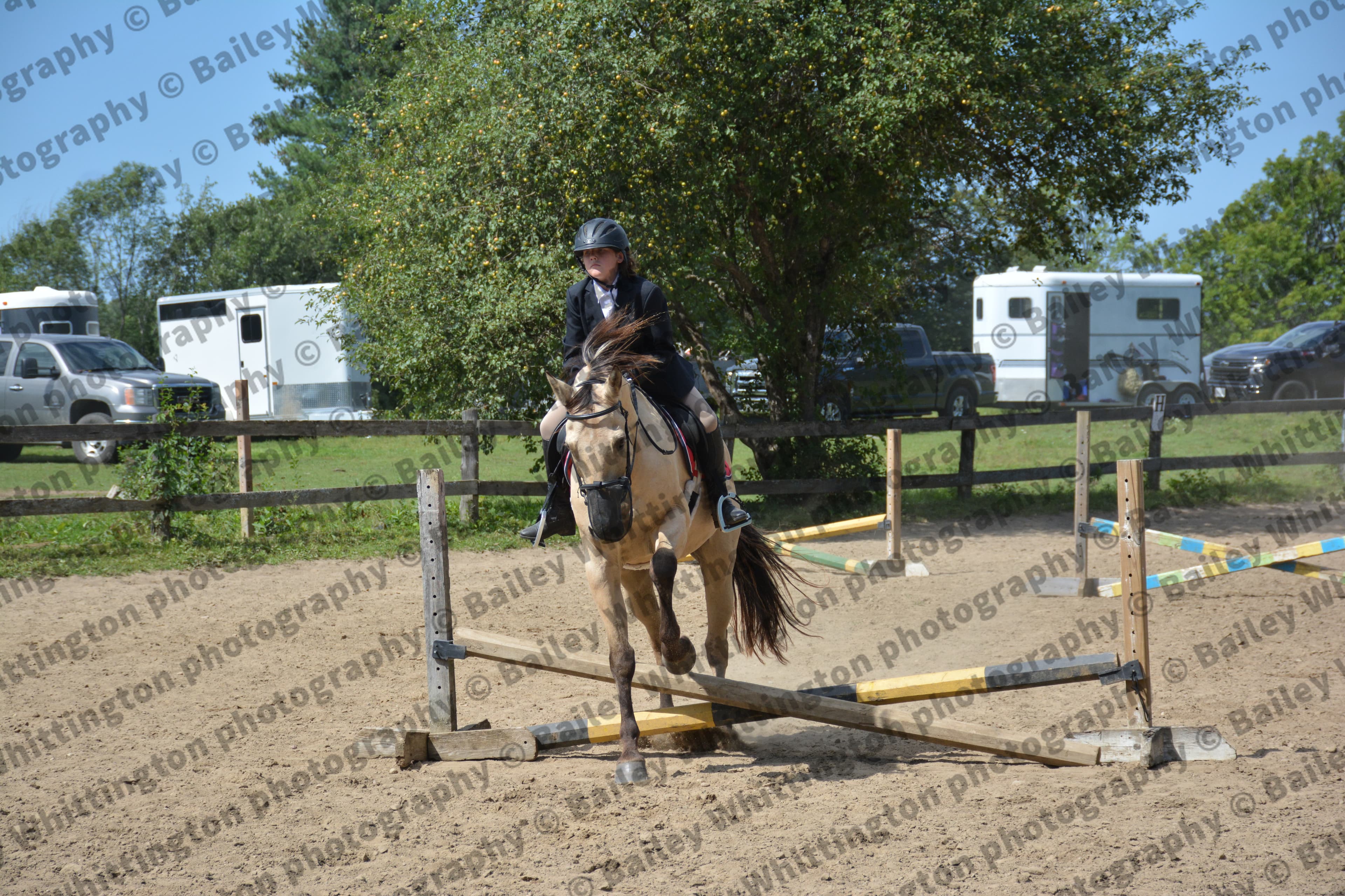 Pony Club Show Image 6