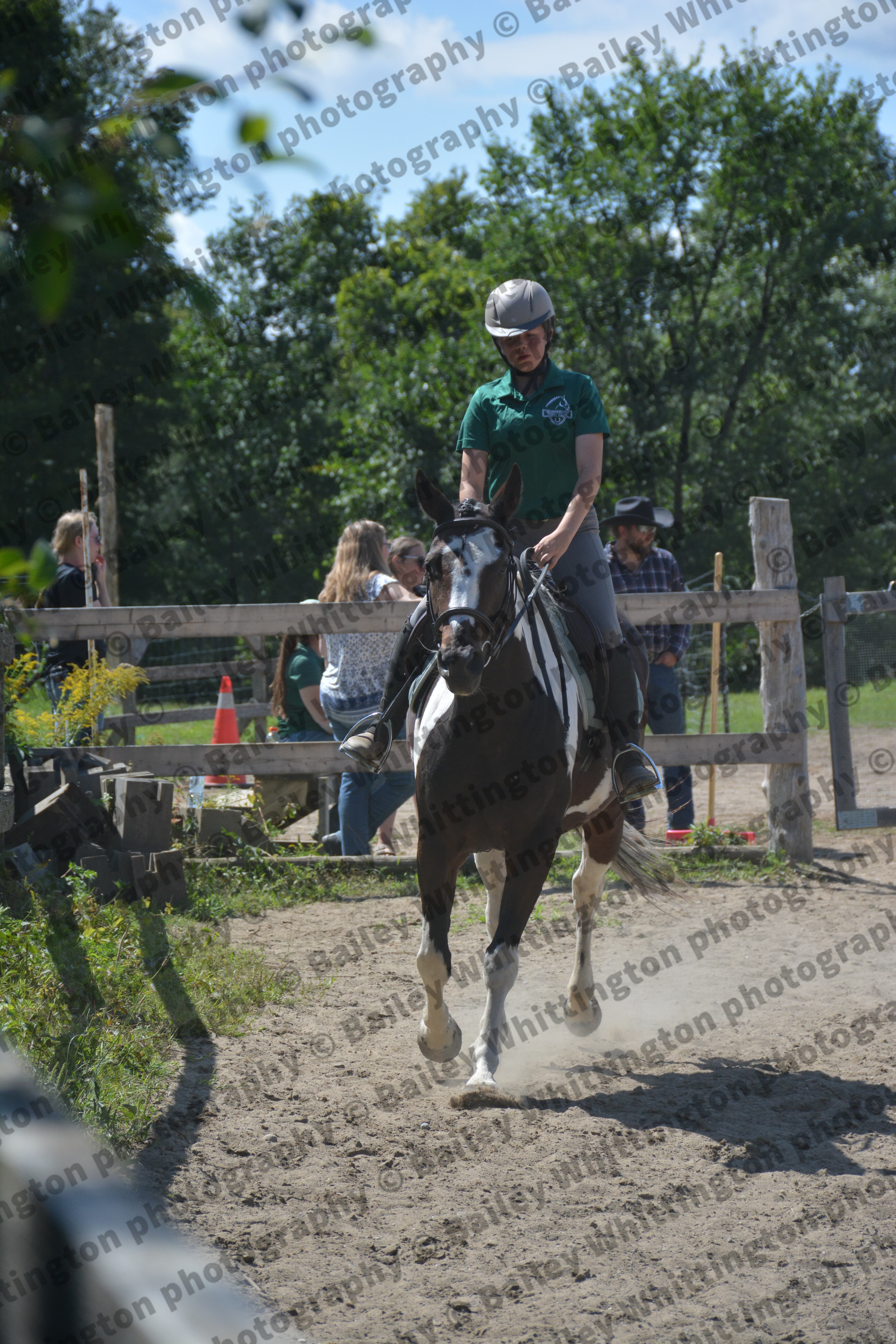 Pony Club Show Image 6