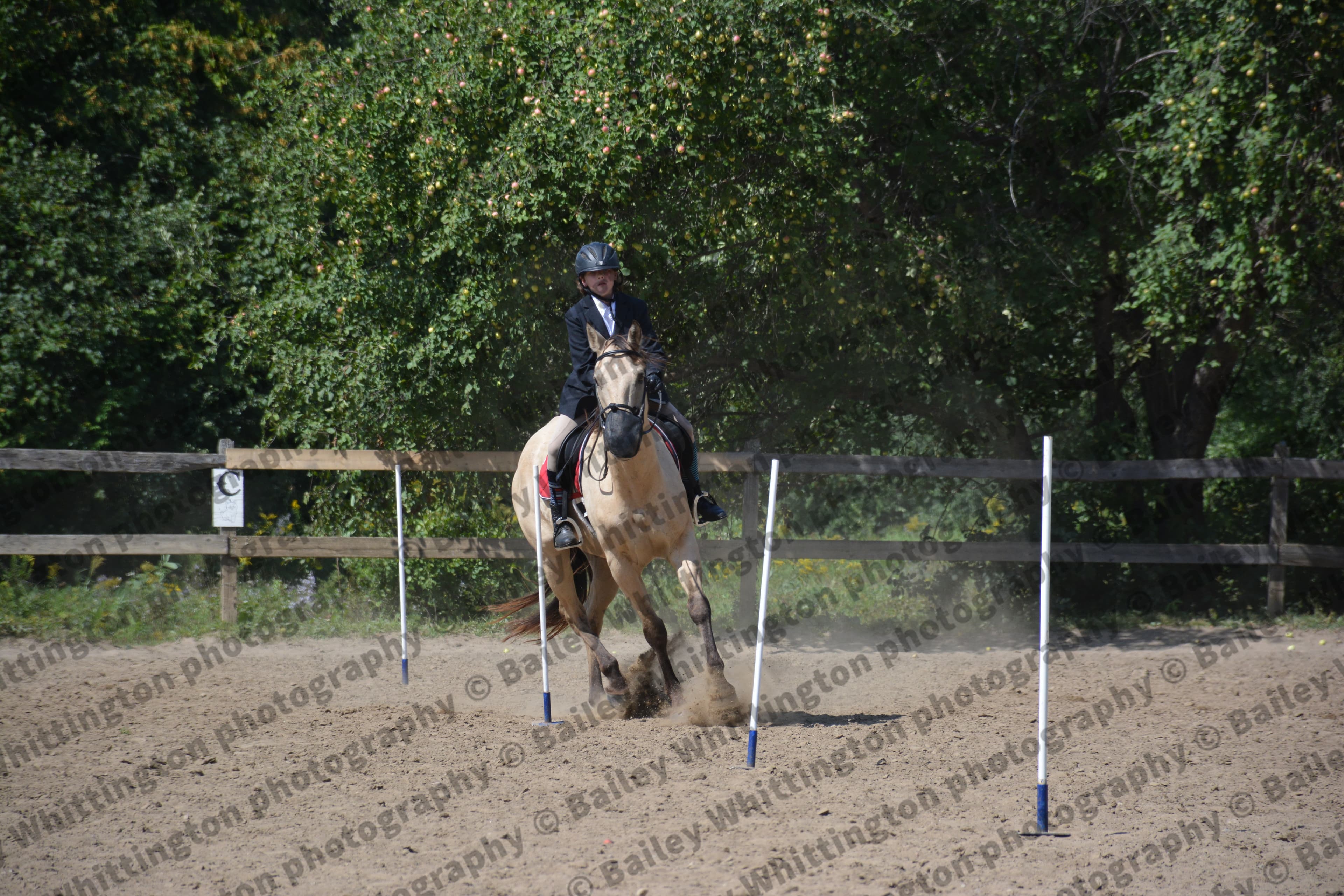 Pony Club Show Image 2