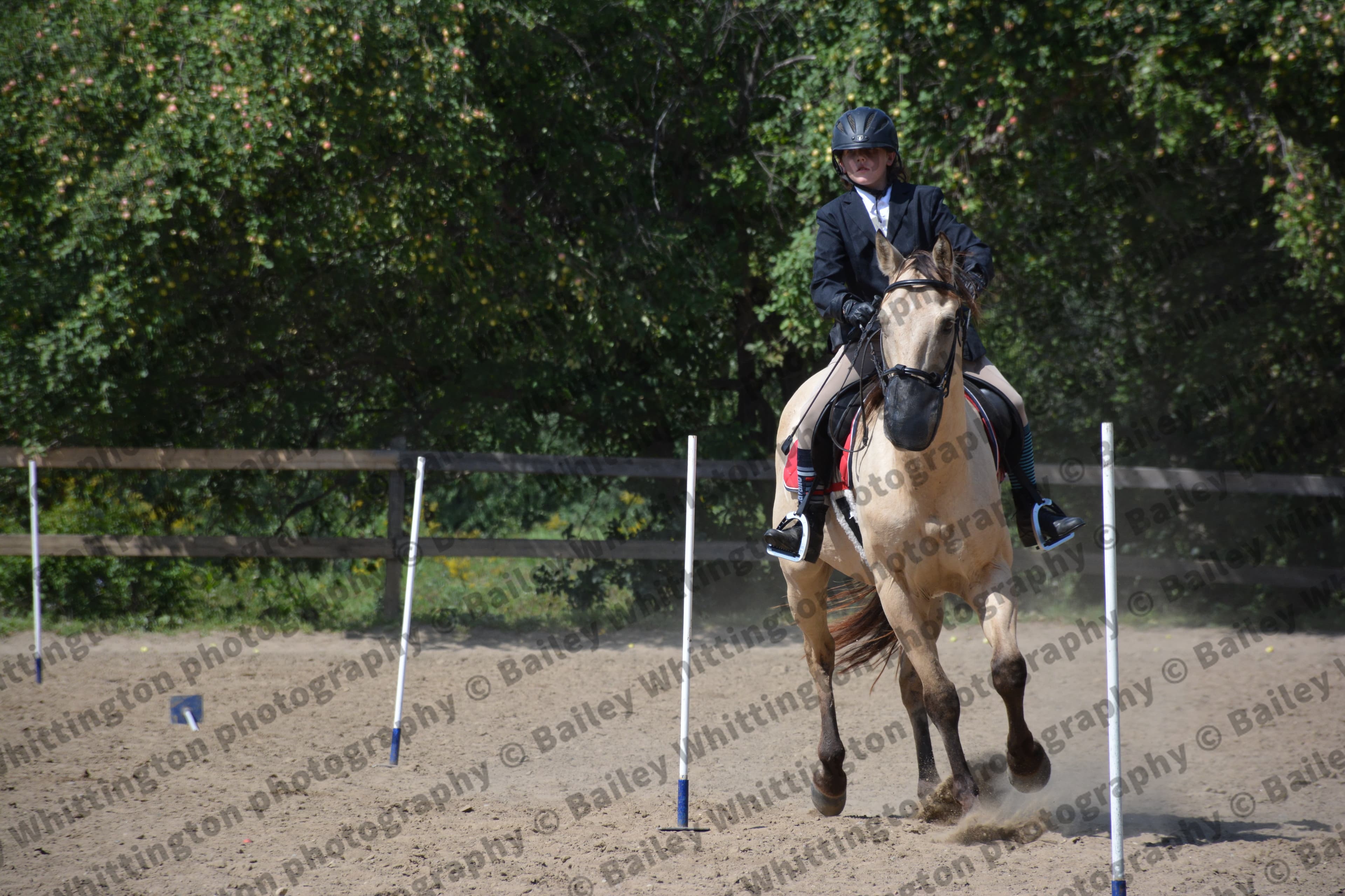 Pony Club Show Image 3