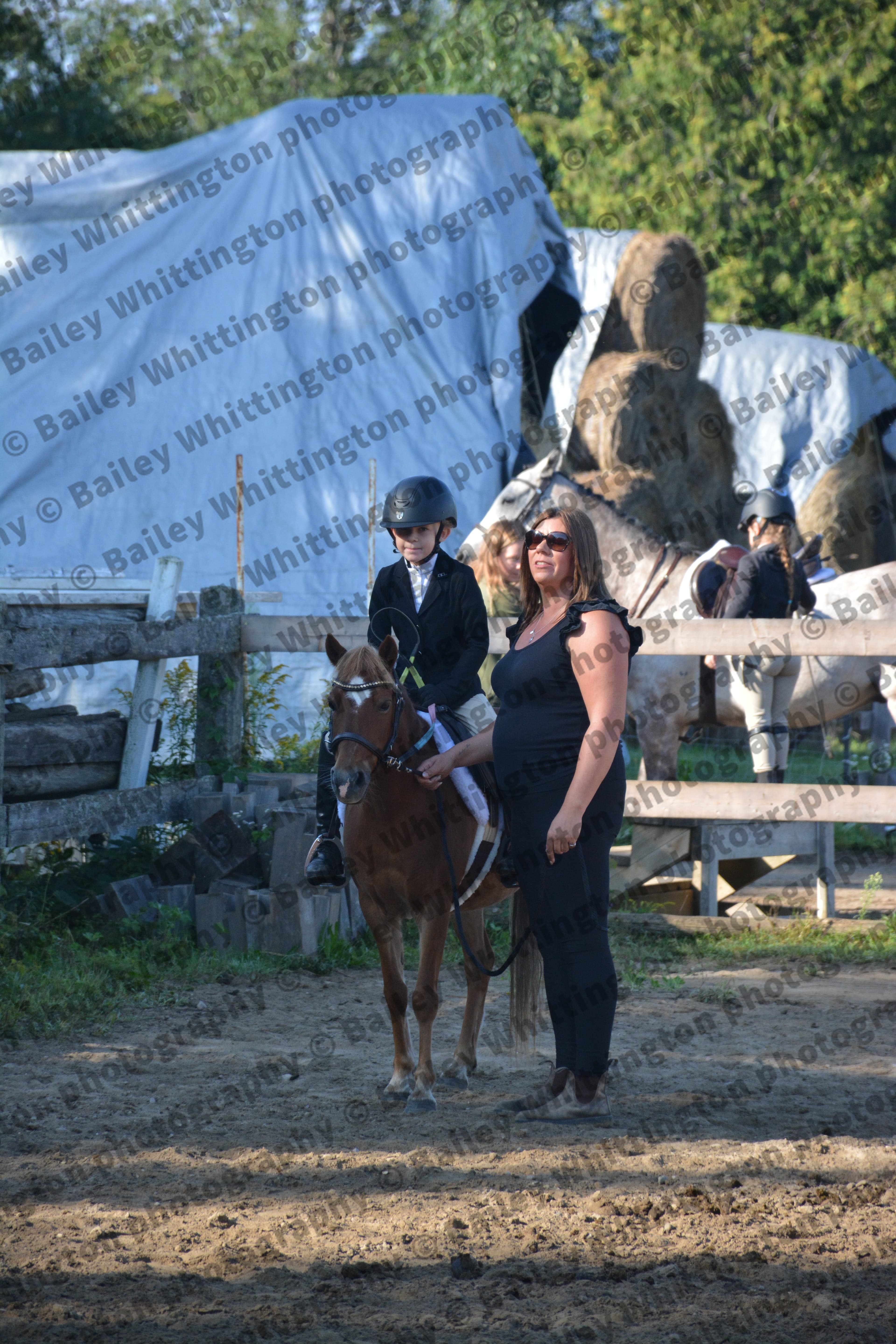 Pony Club Show Image 2