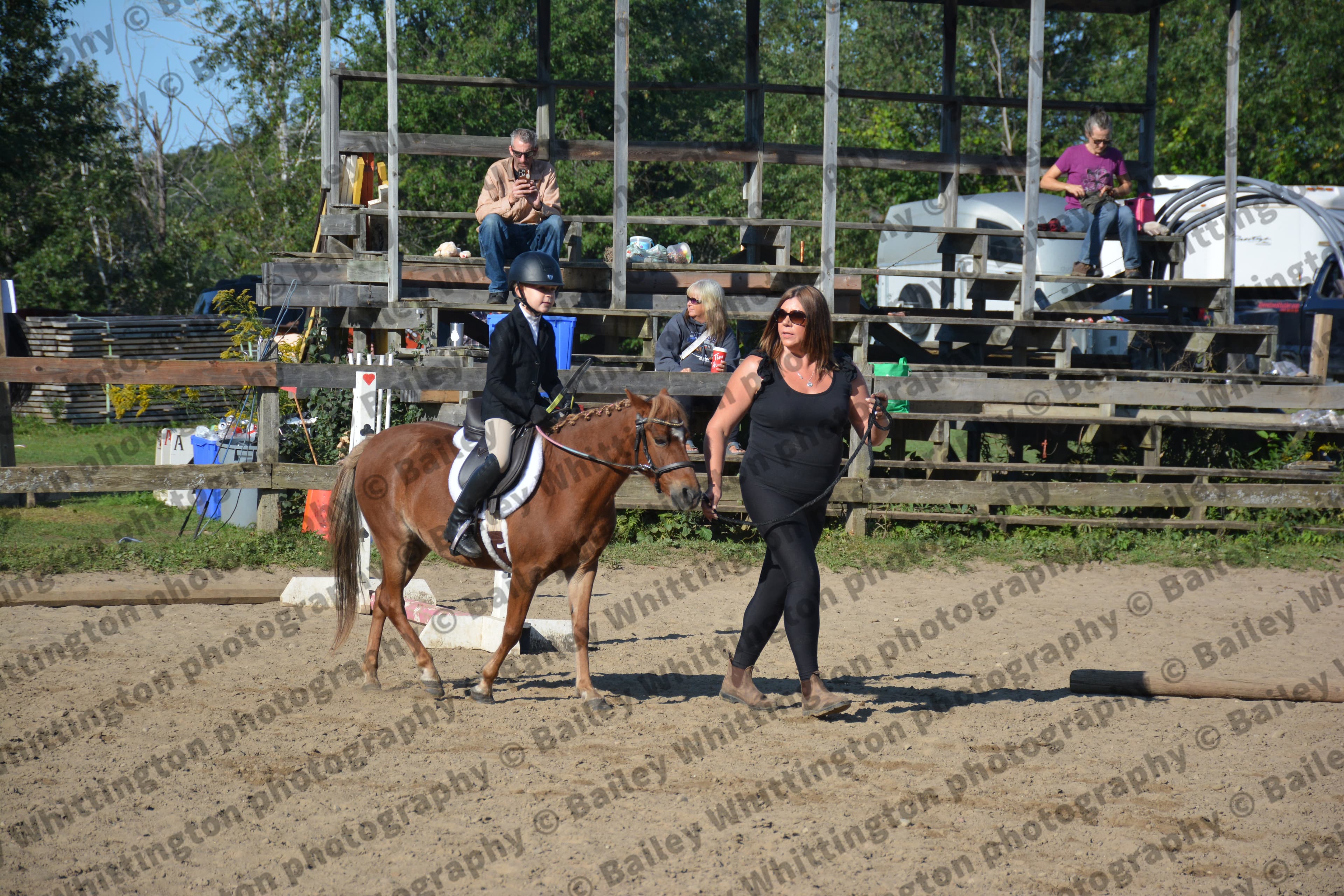 Pony Club Show Image 4