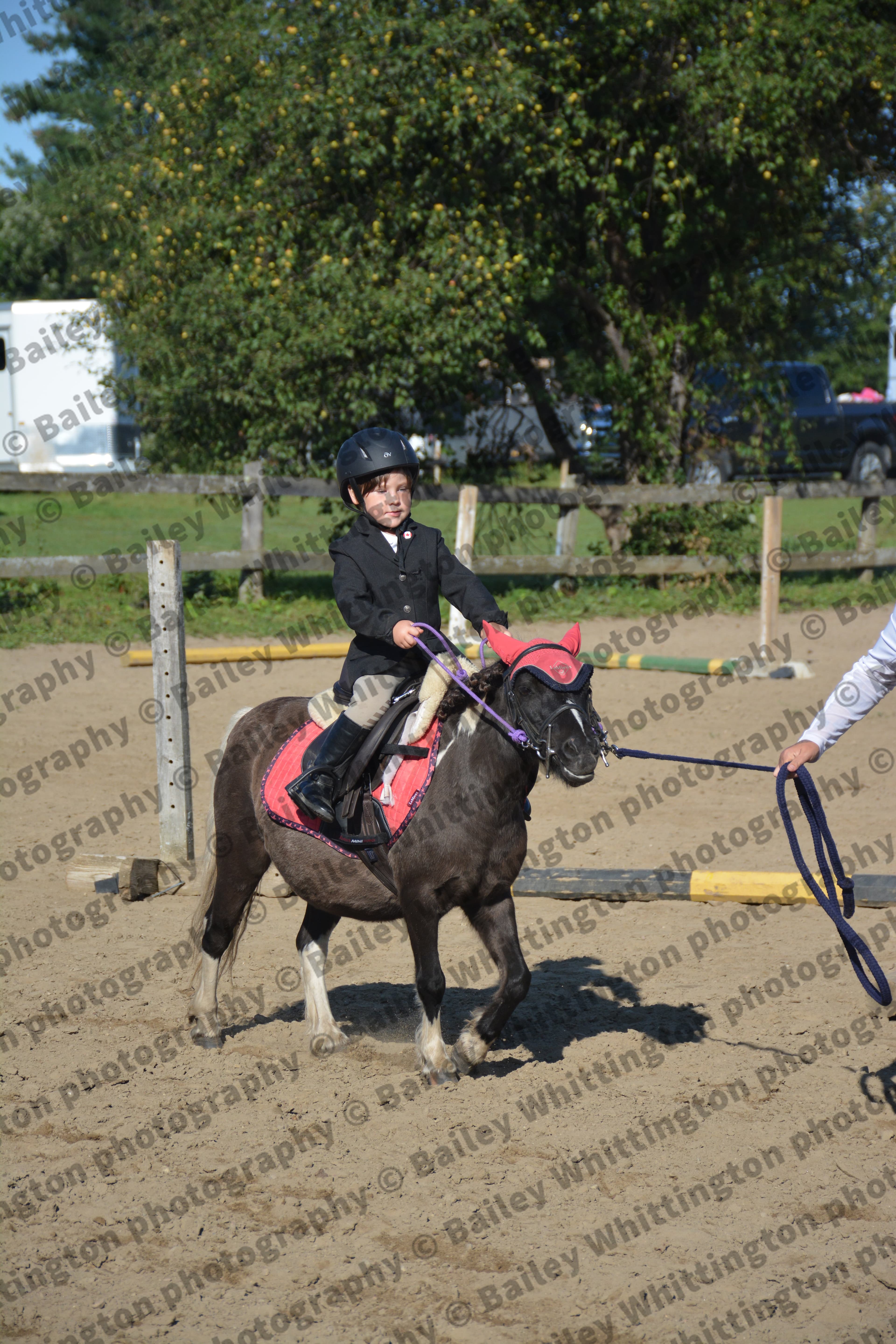 Pony Club Show Image 5