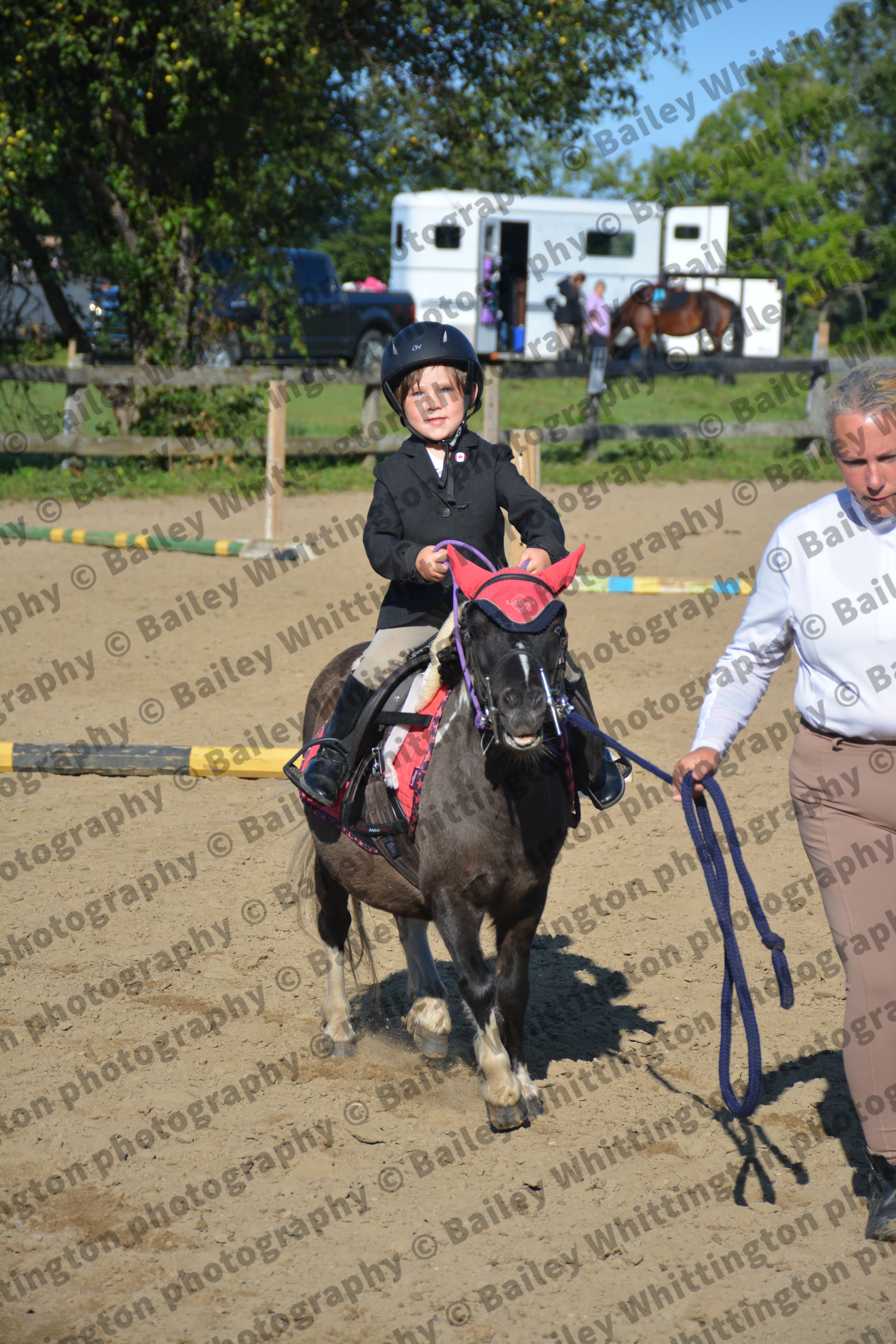 Pony Club Show Image 6