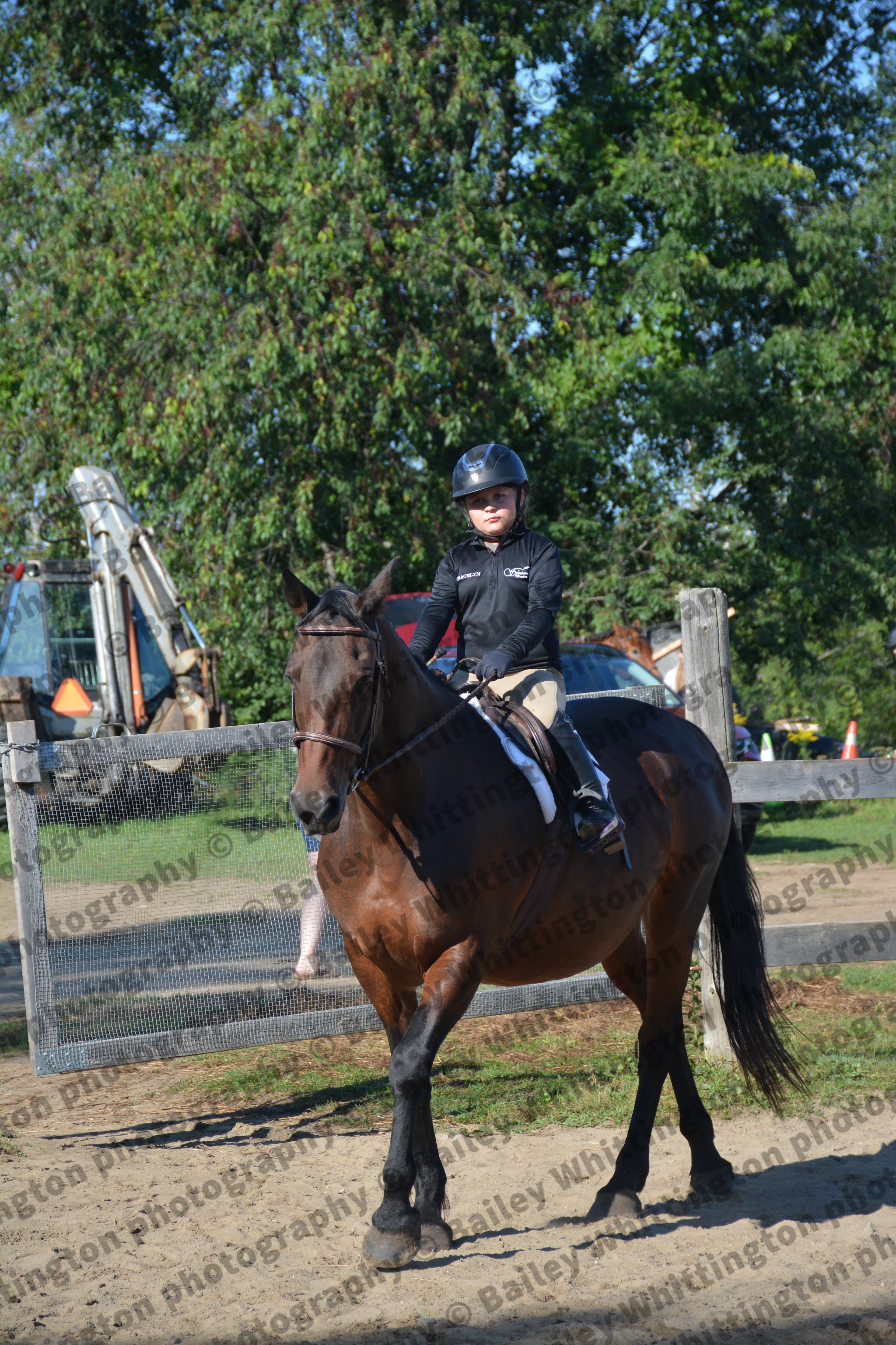 Pony Club Show Image 2