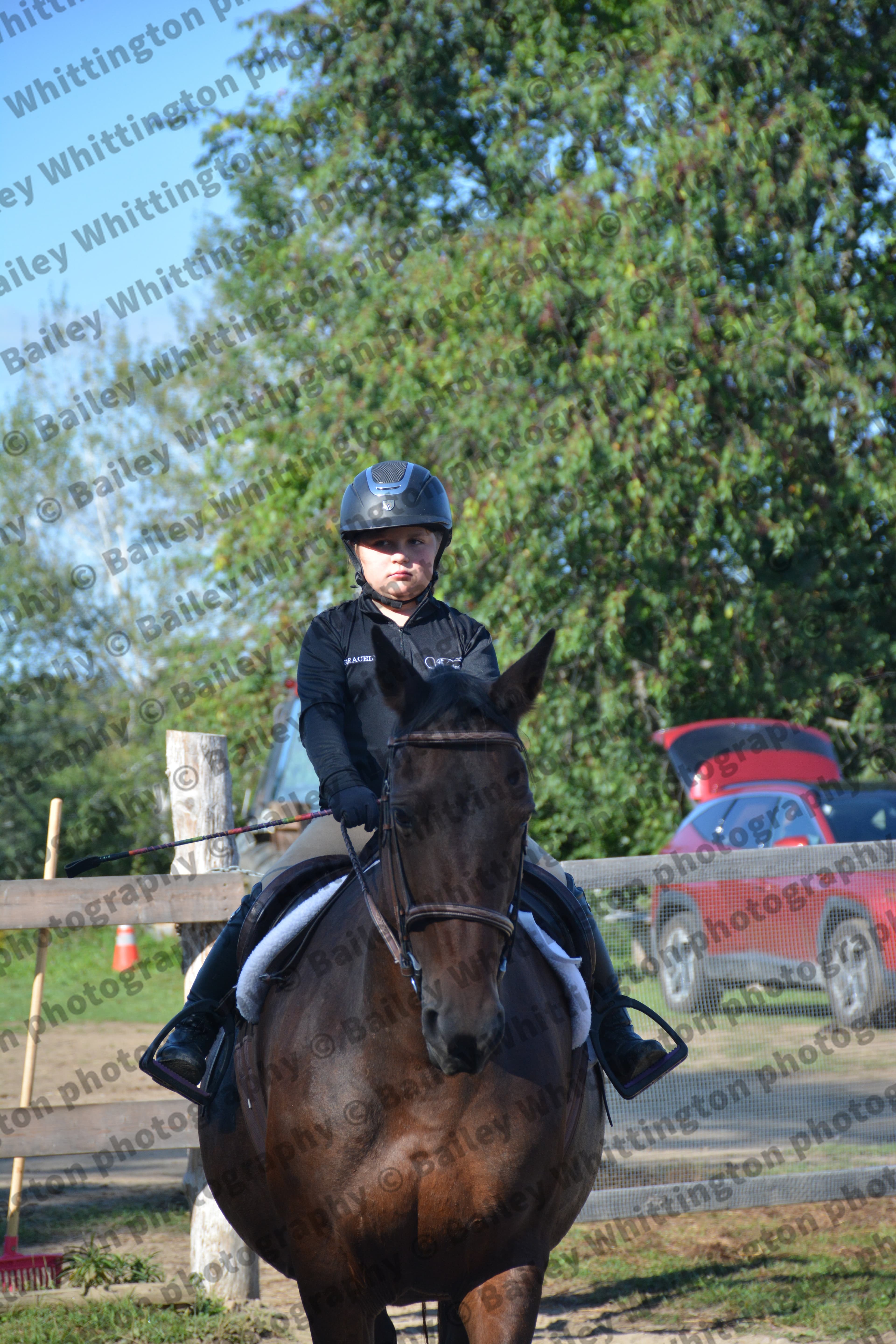 Pony Club Show Image 3