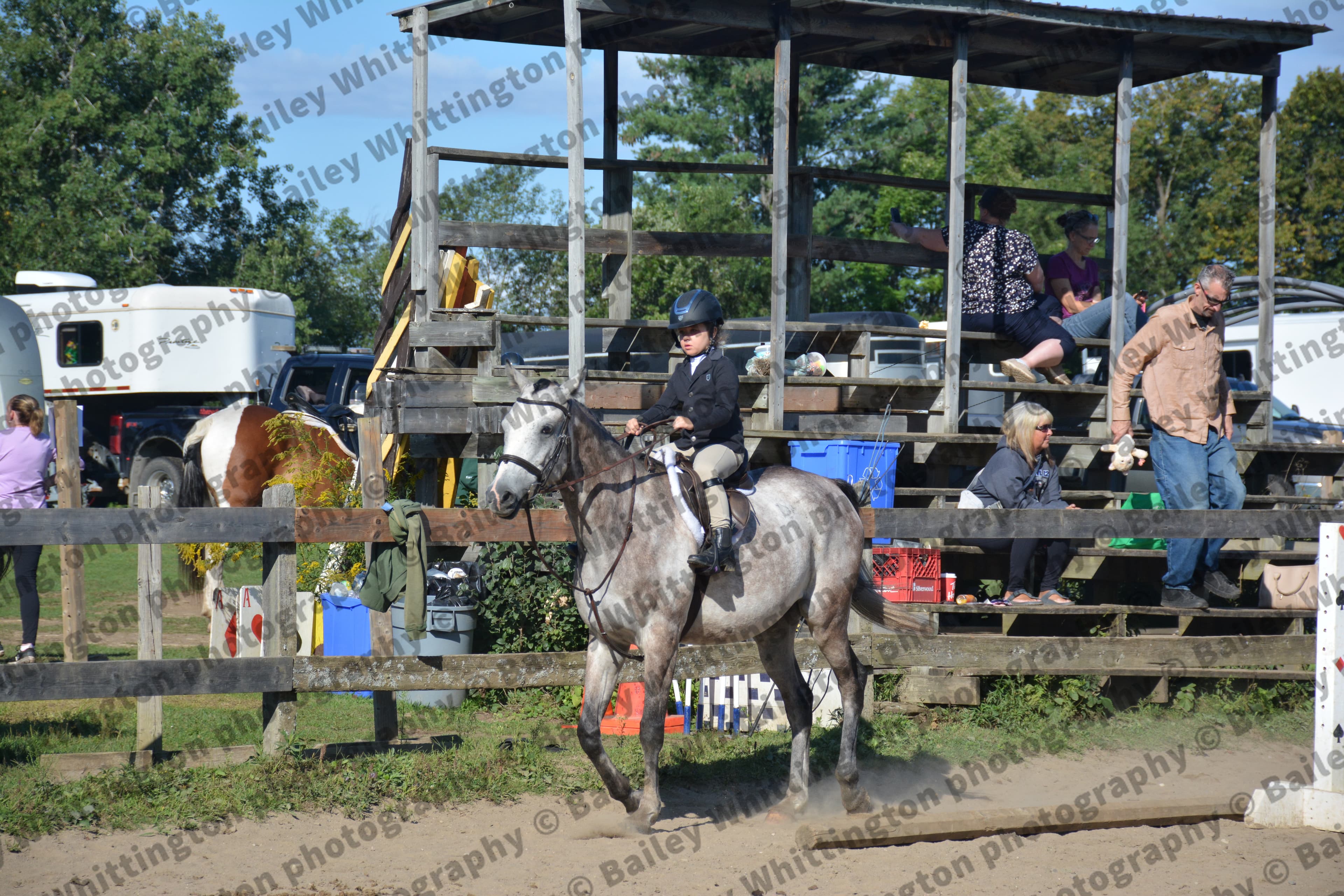 Pony Club Show Image 4