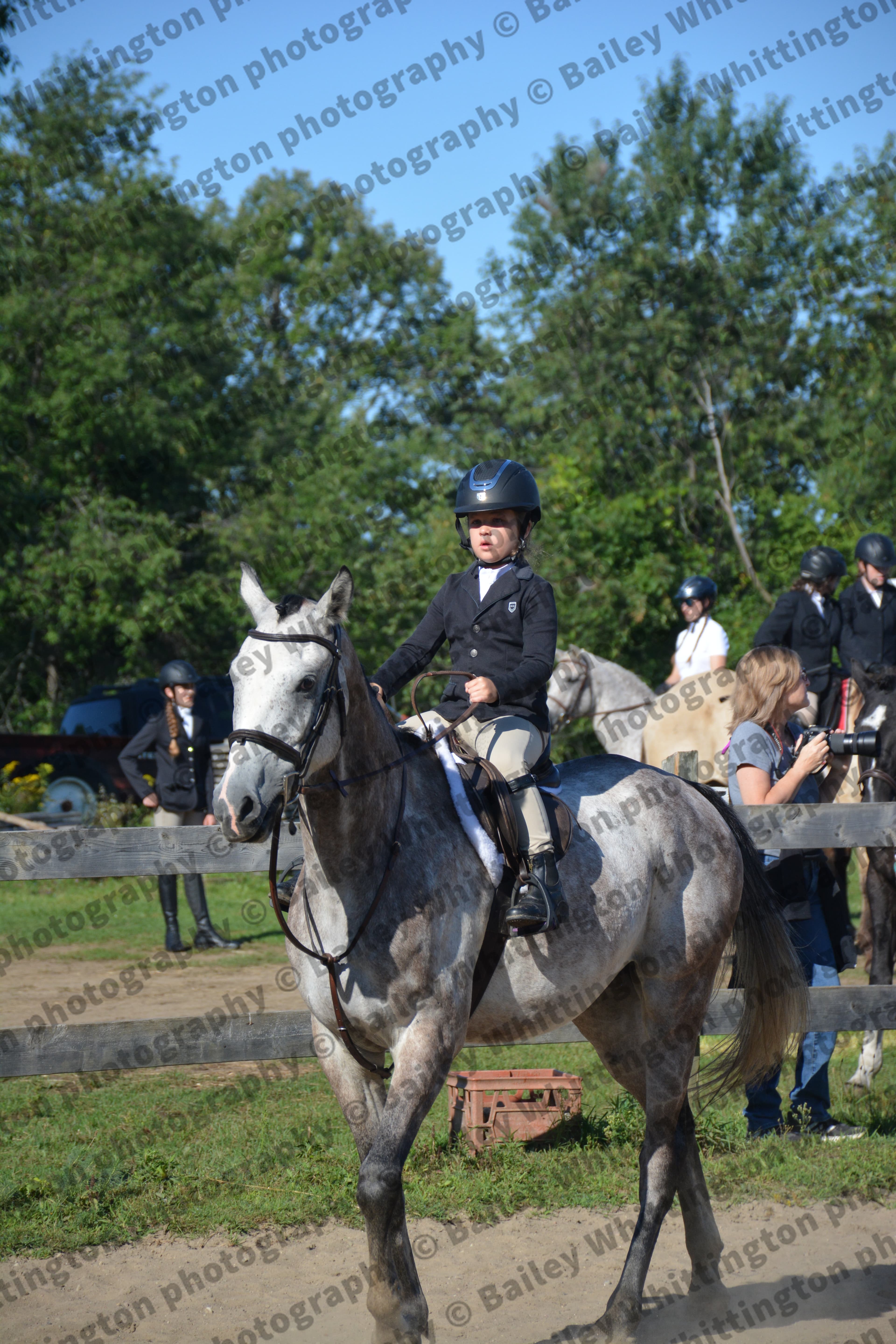 Pony Club Show Image 5