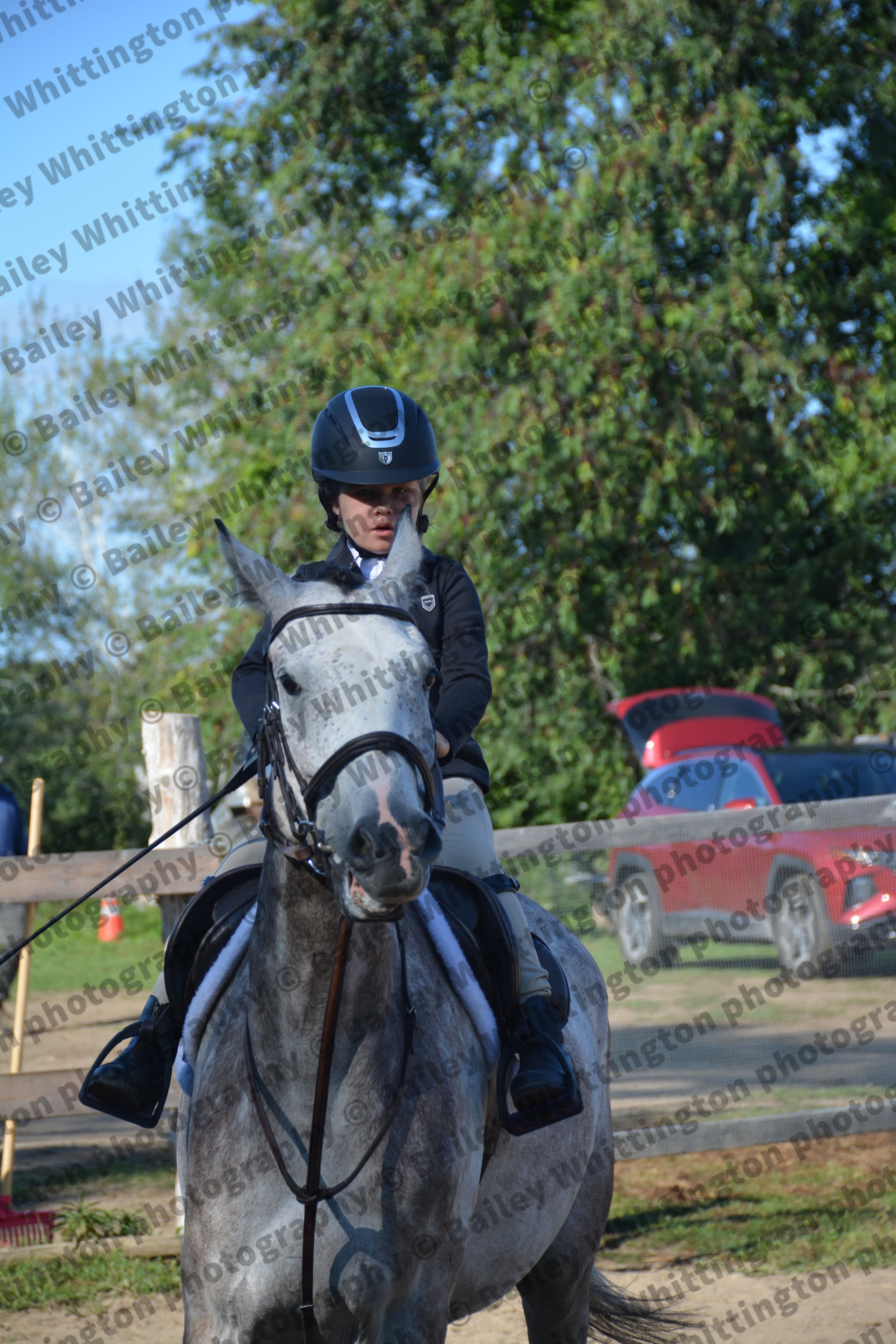 Pony Club Show Image 6