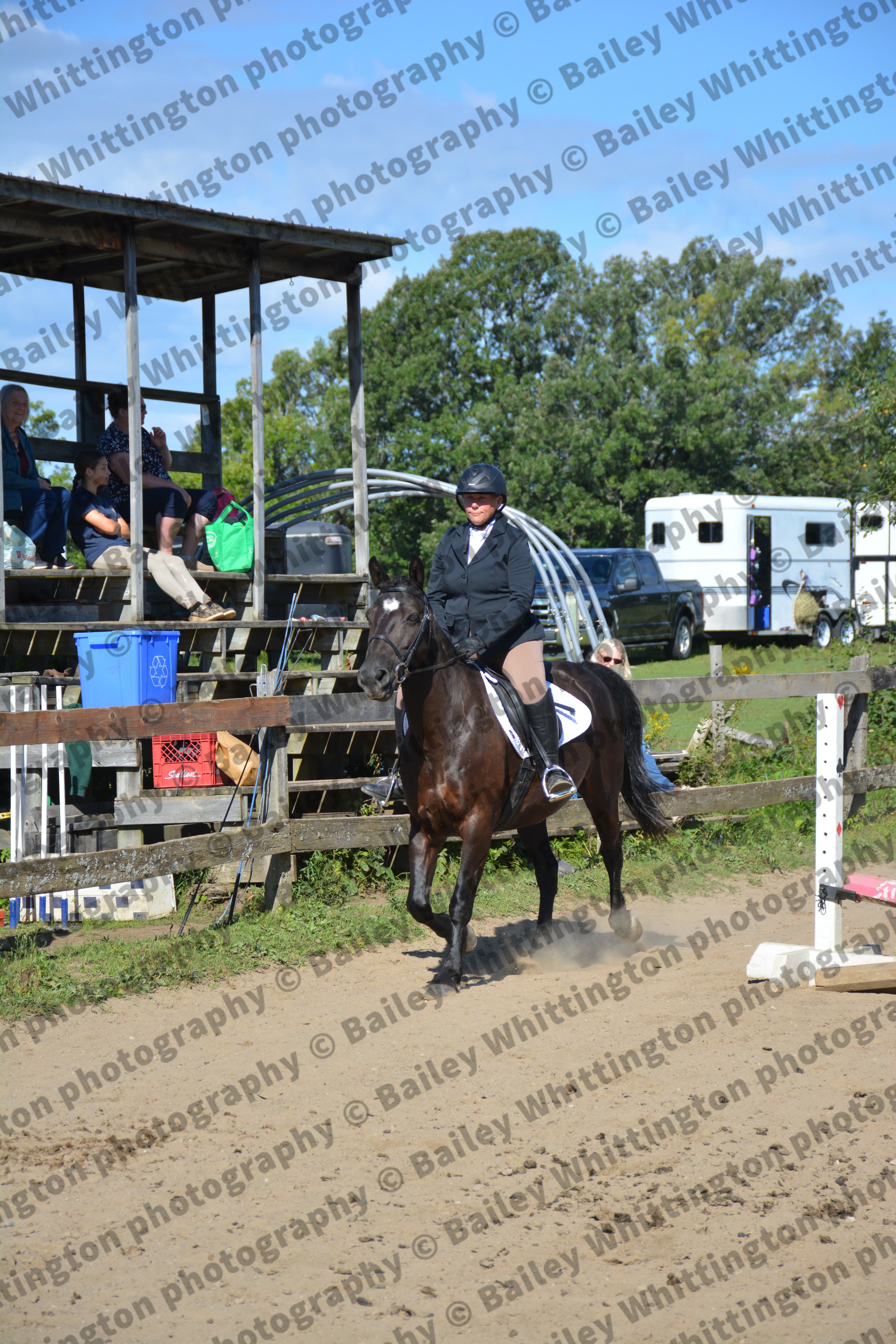 Pony Club Show Image 3