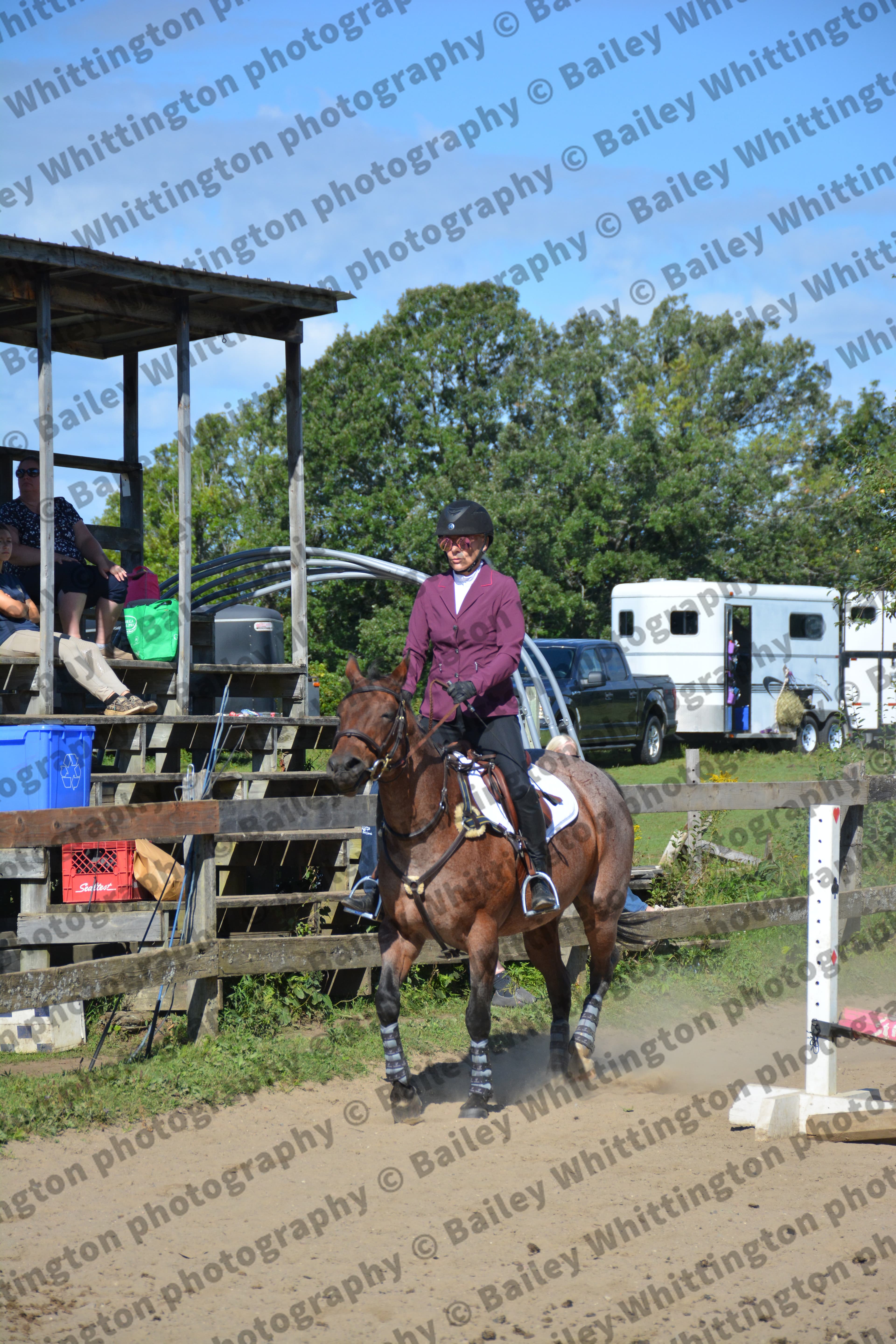 Pony Club Show Image 5