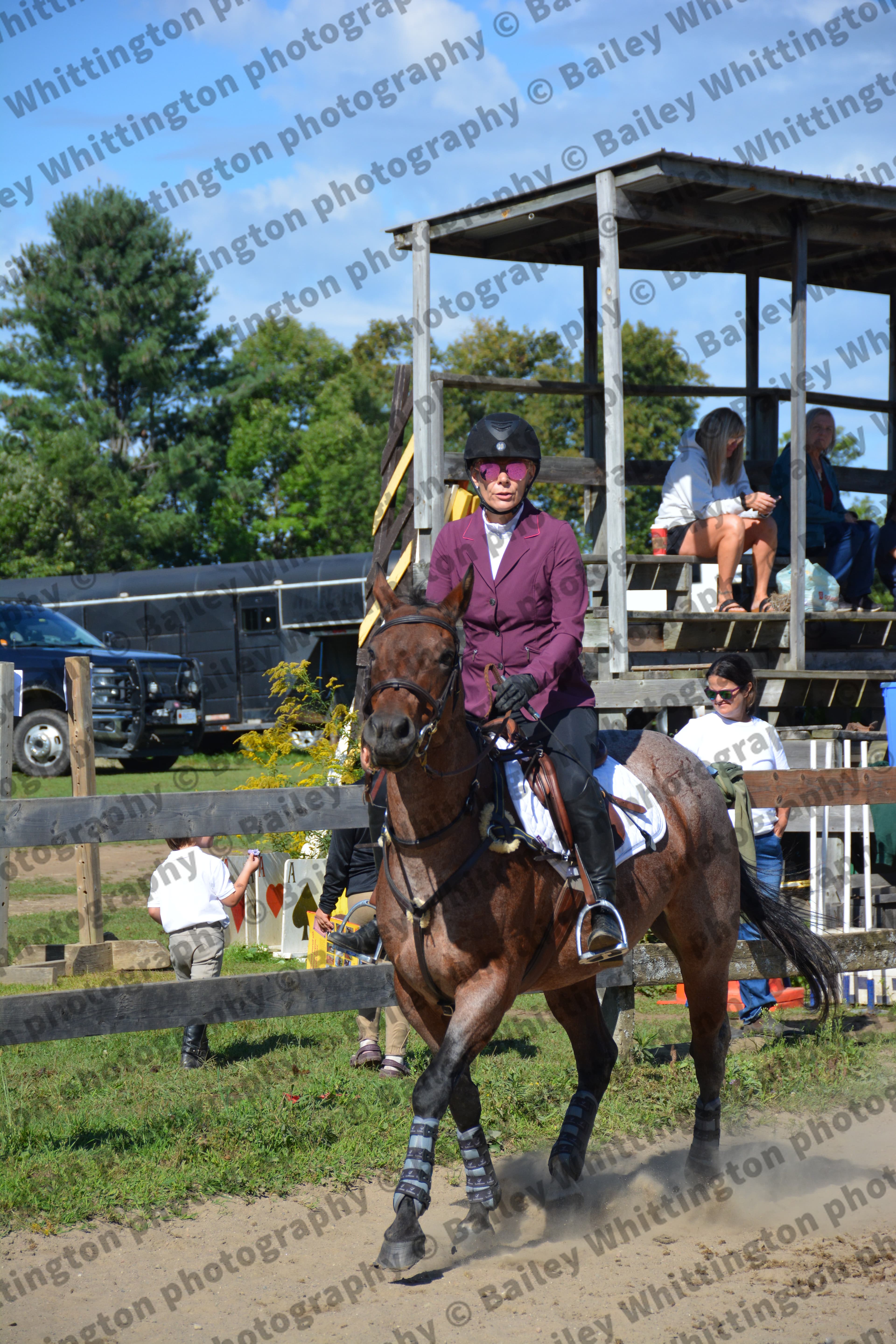 Pony Club Show Image 6