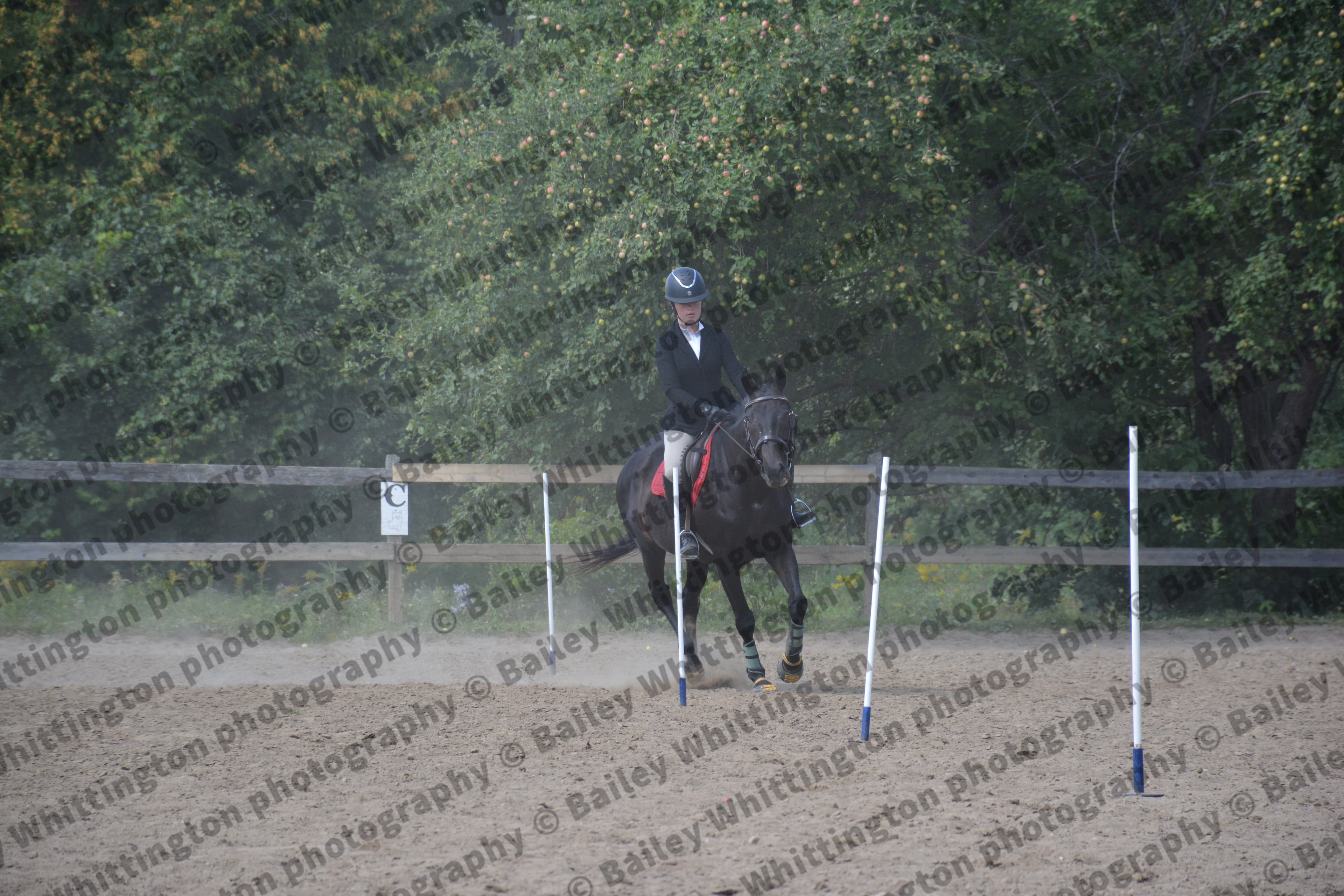 Pony Club Show Image 4