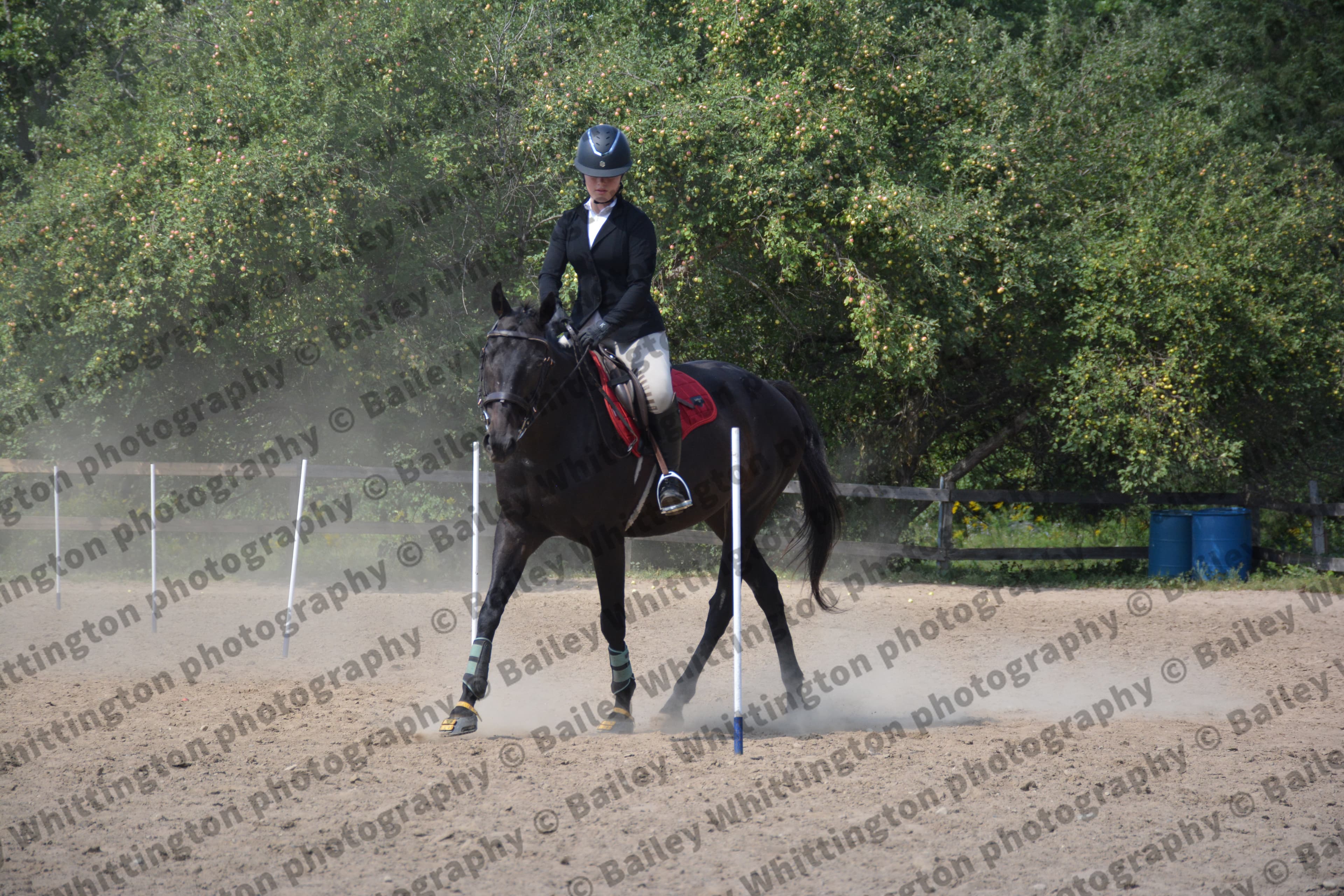 Pony Club Show Image 5