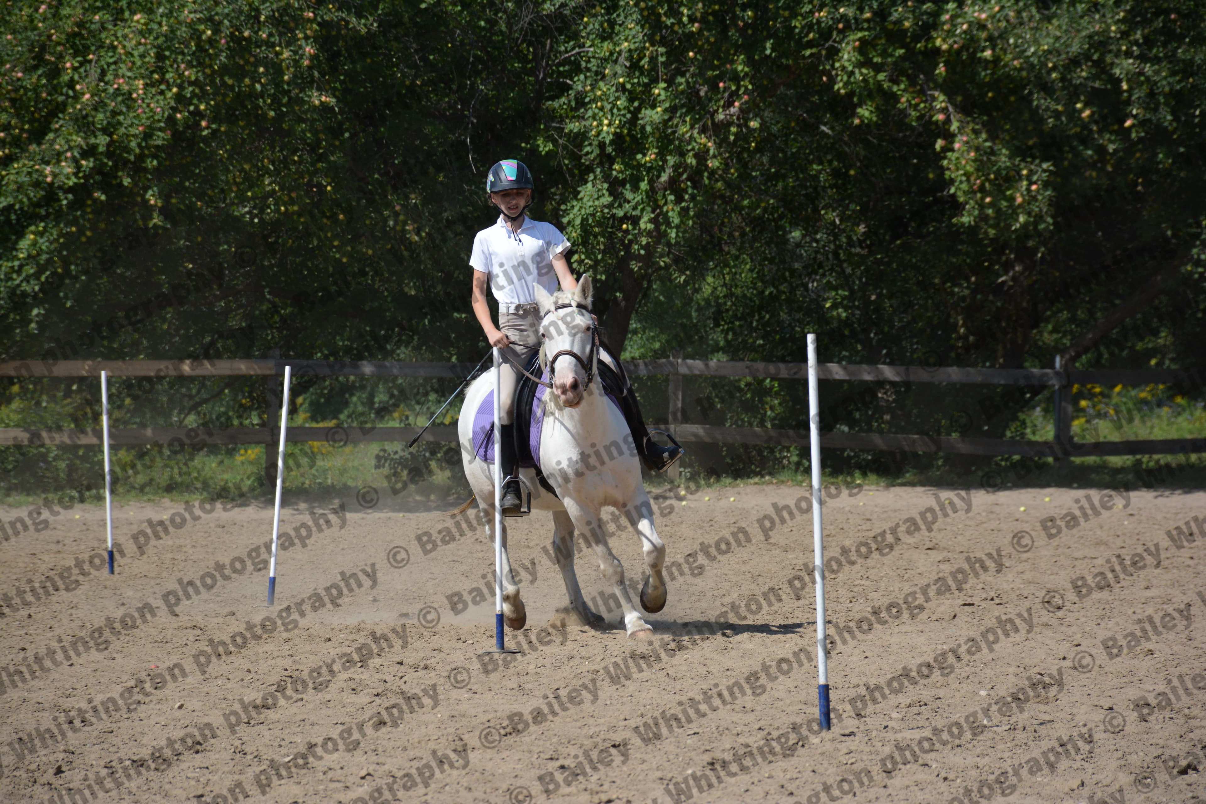 Pony Club Show Image 6