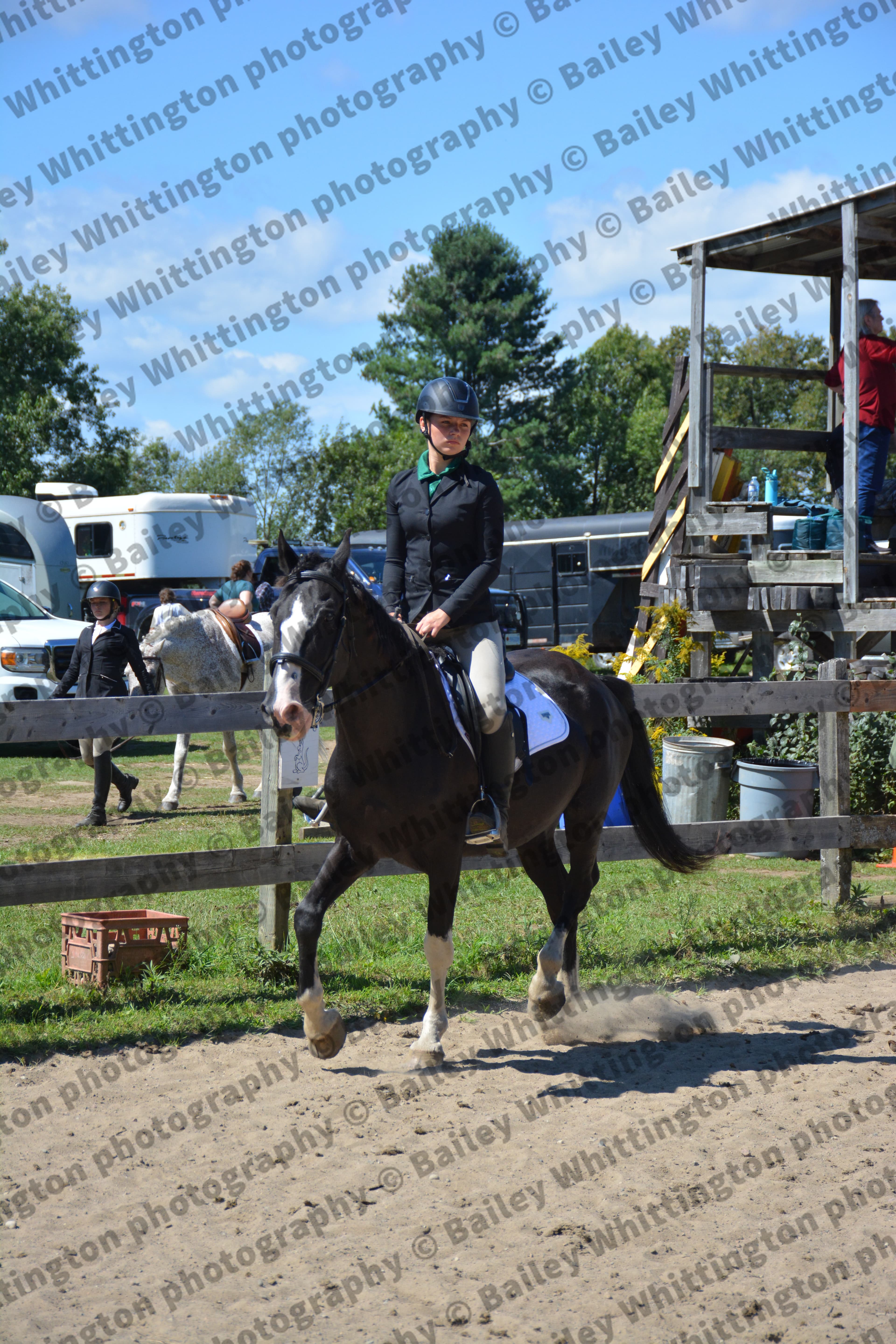 Pony Club Show Image 2