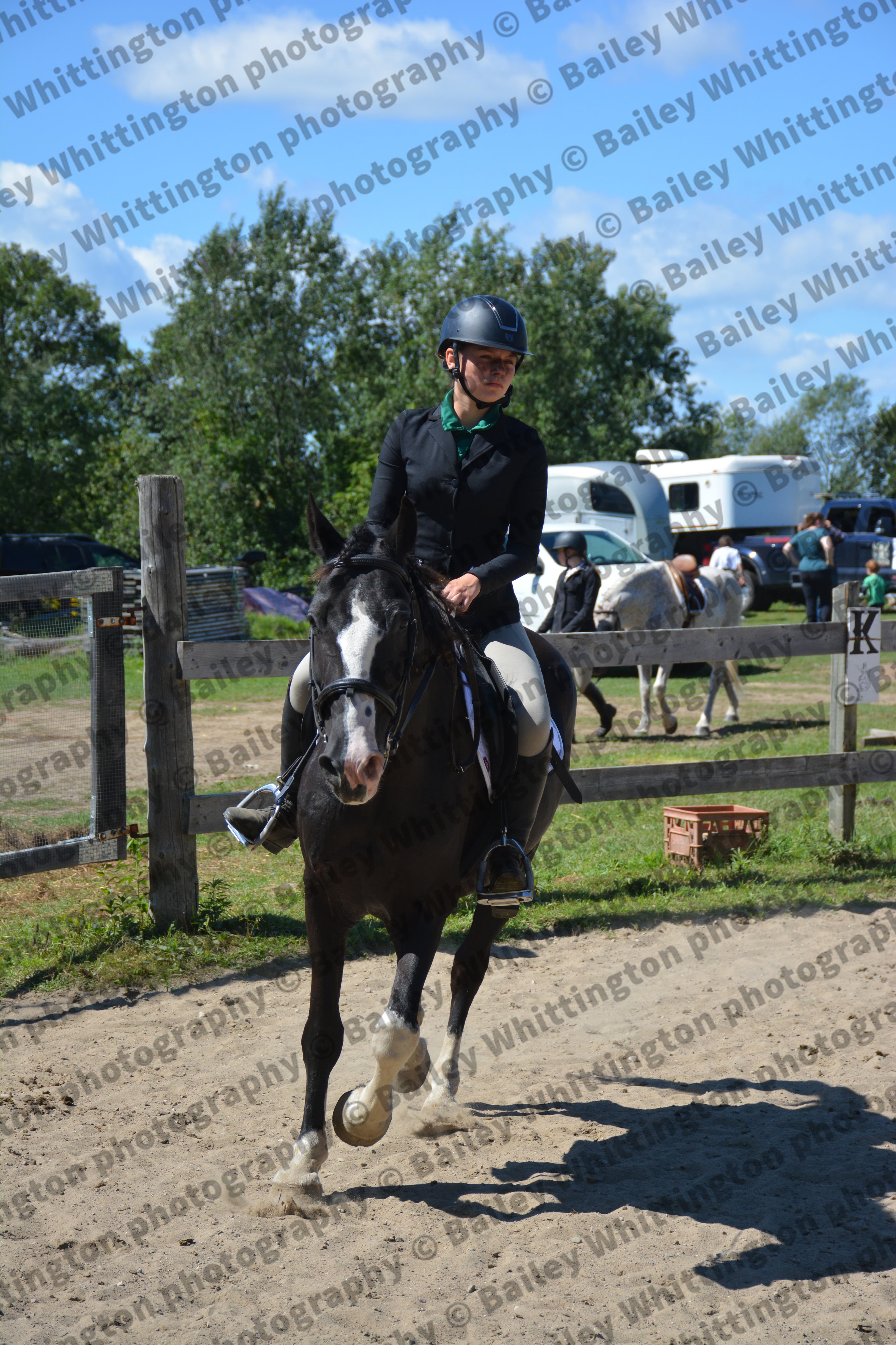 Pony Club Show Image 3