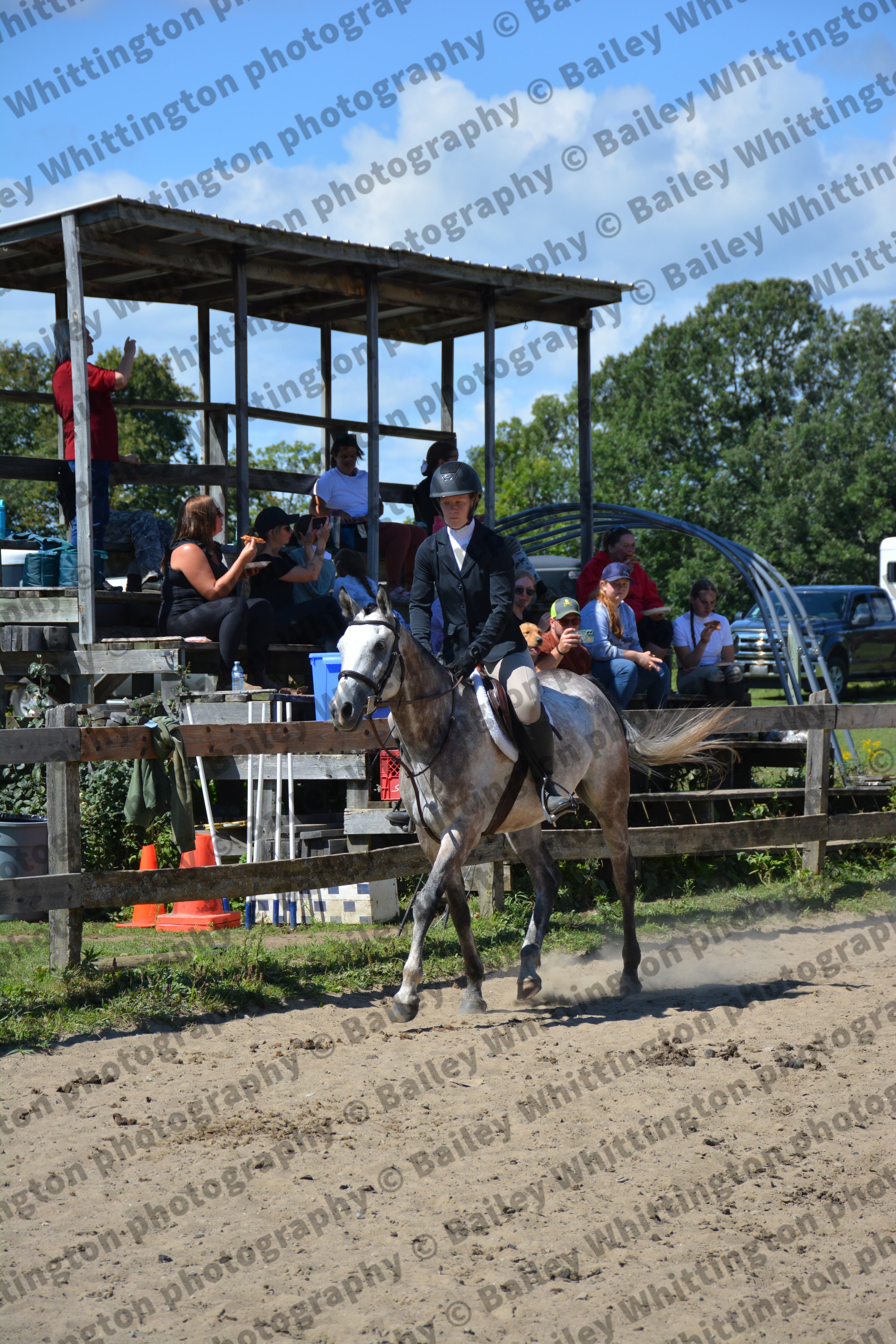 Pony Club Show Image 4