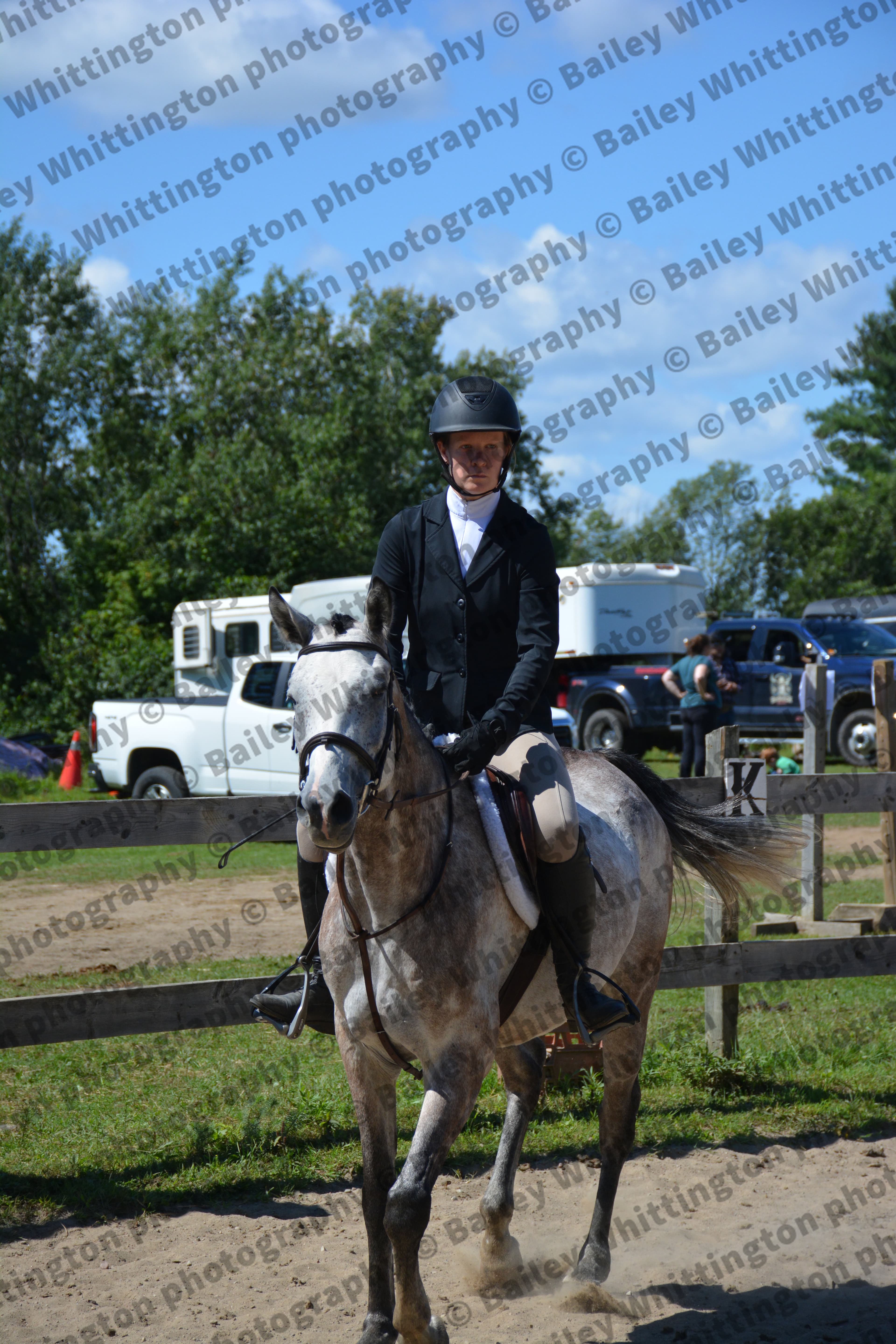 Pony Club Show Image 5