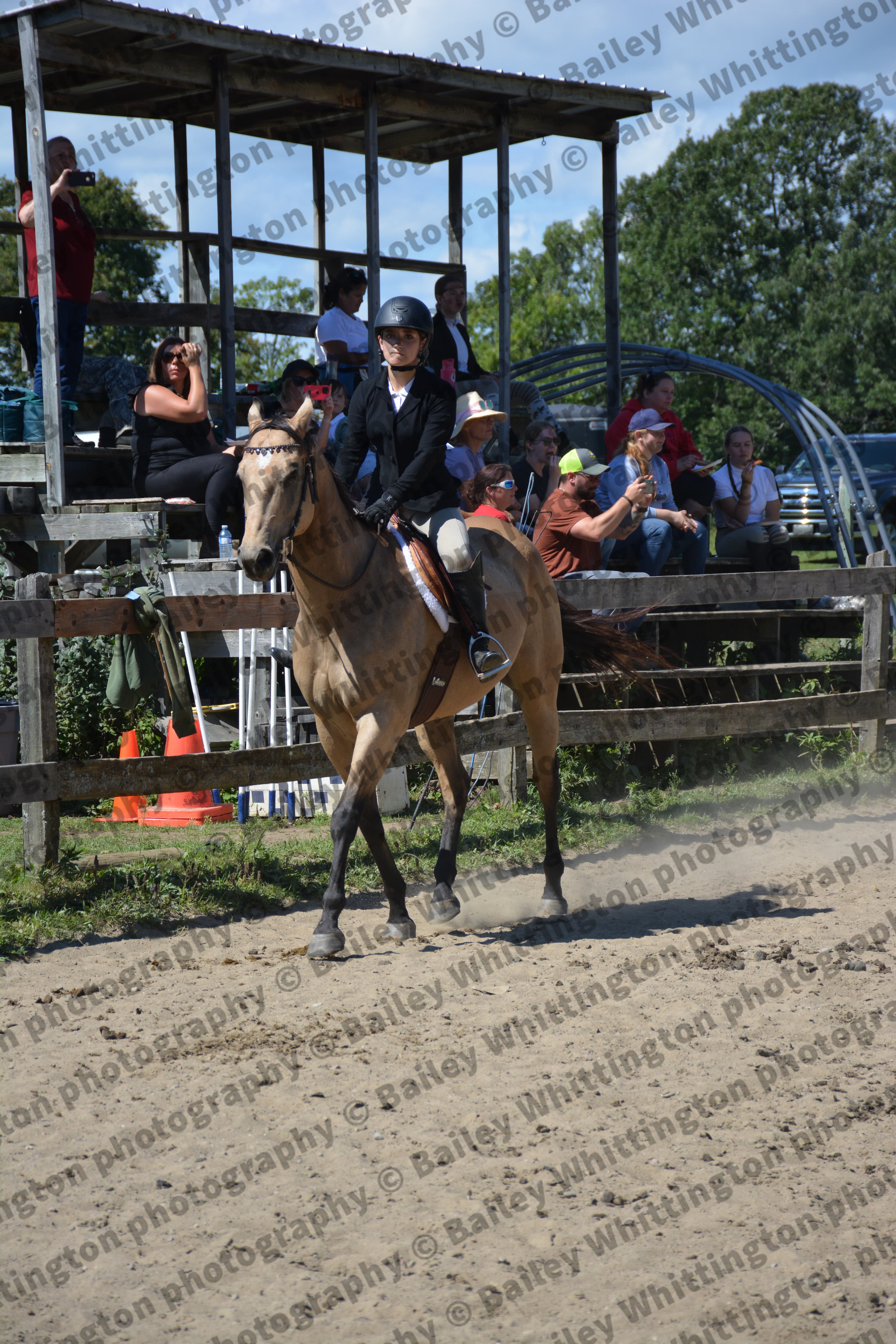 Pony Club Show Image 6